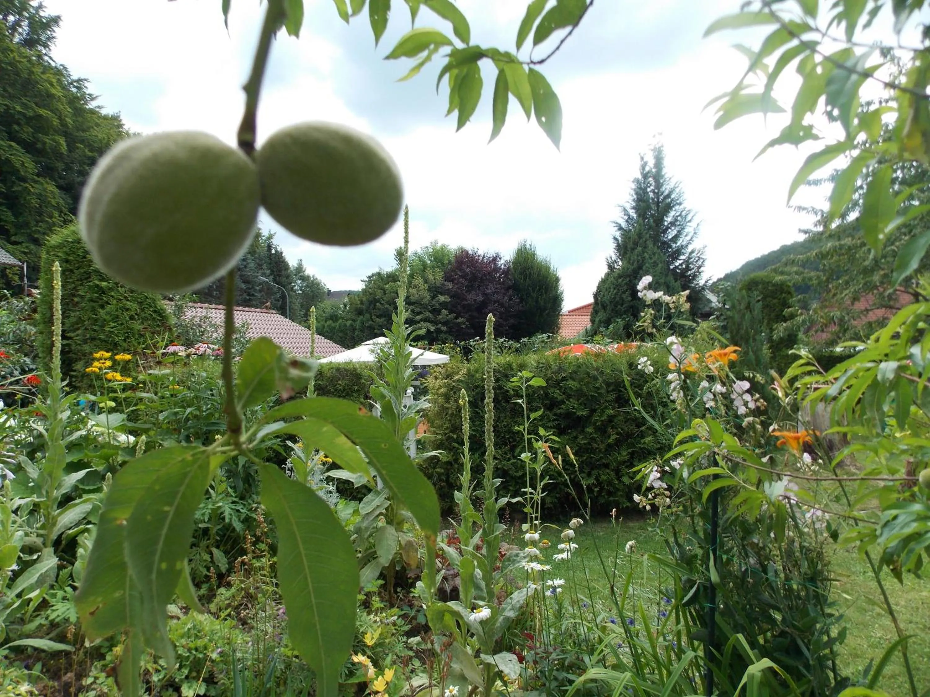 Garden in Landhotel Fasanenhof