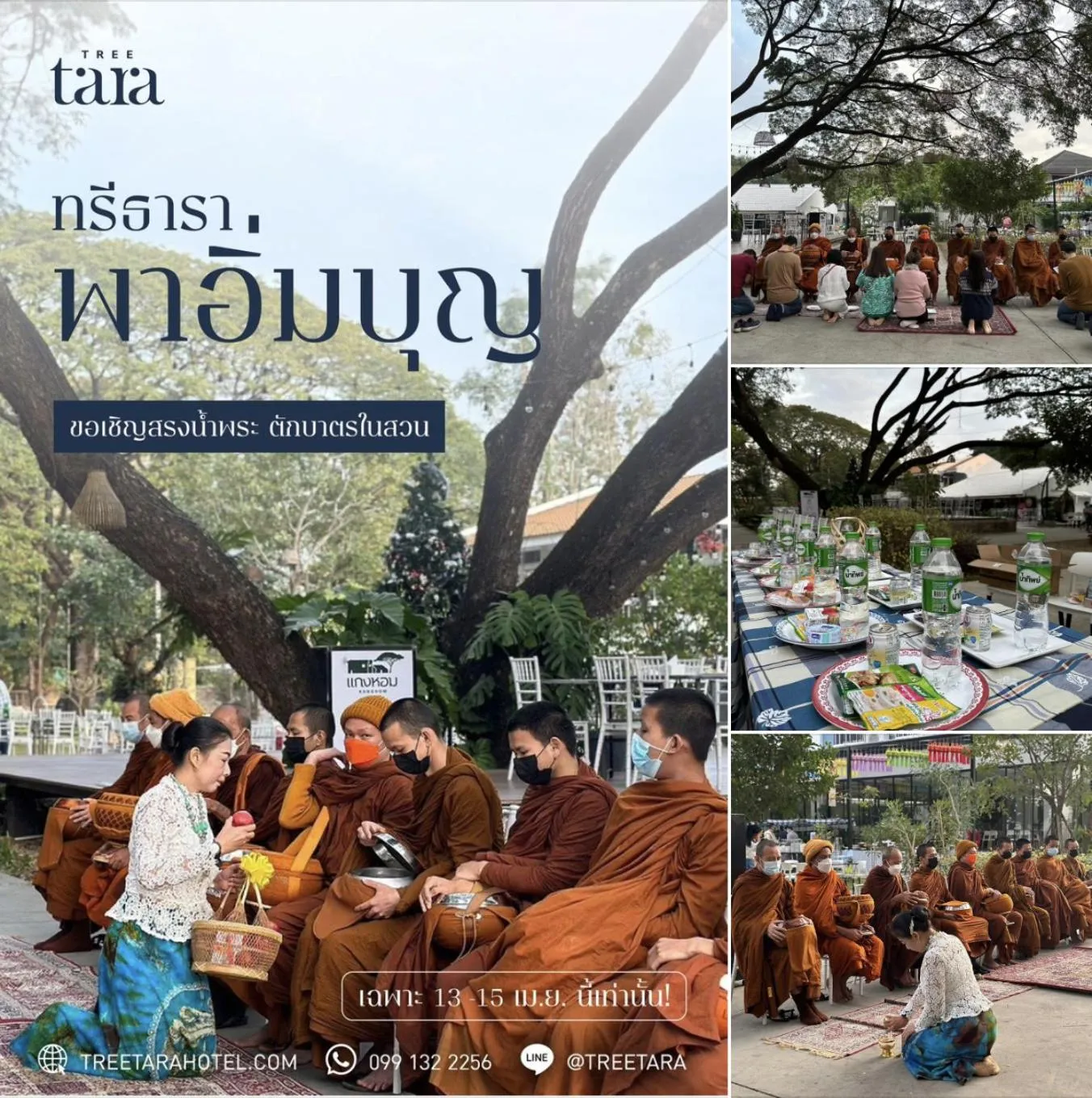 Activities in Tree Tara hotel