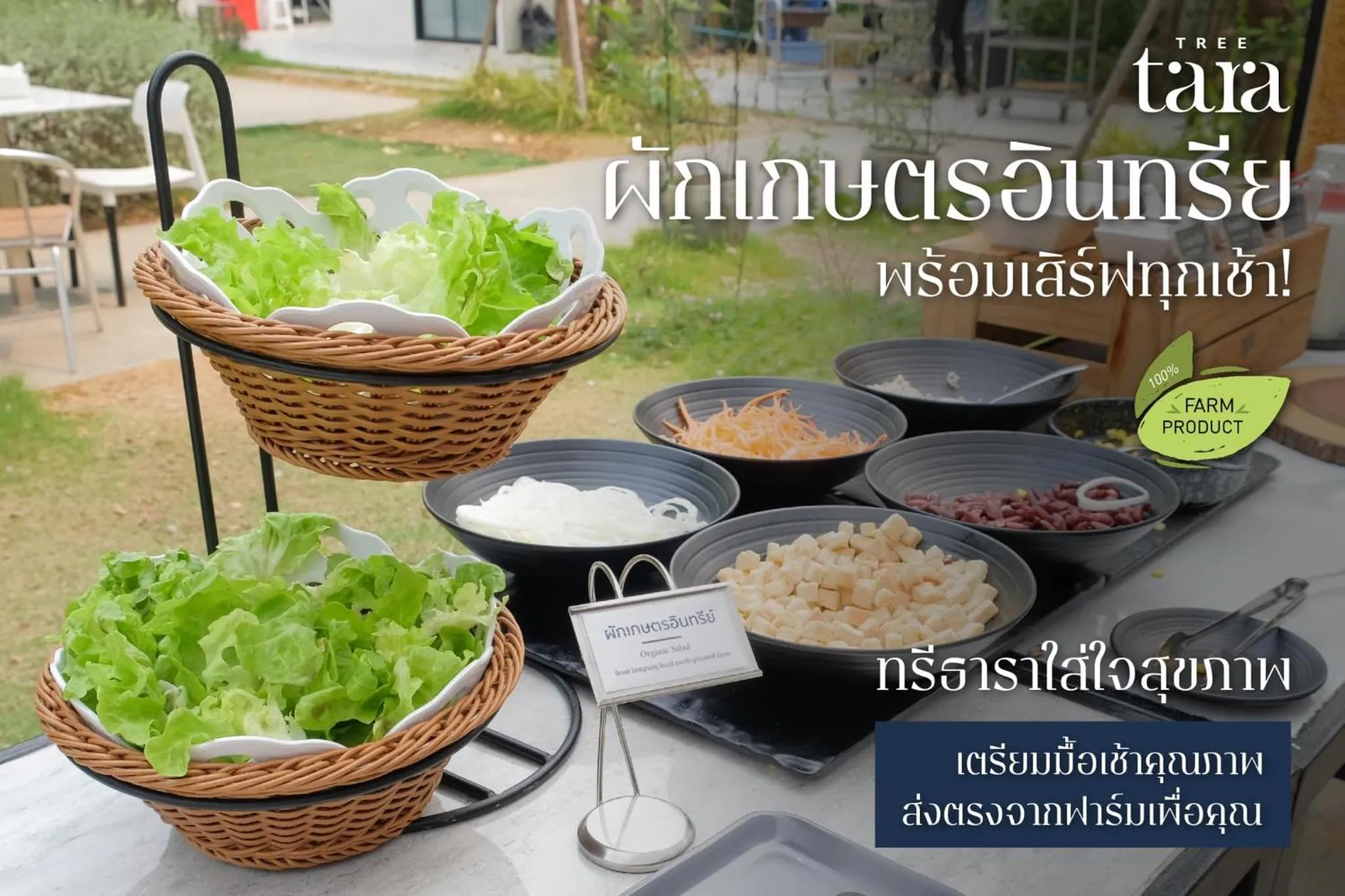 Breakfast in Tree Tara hotel