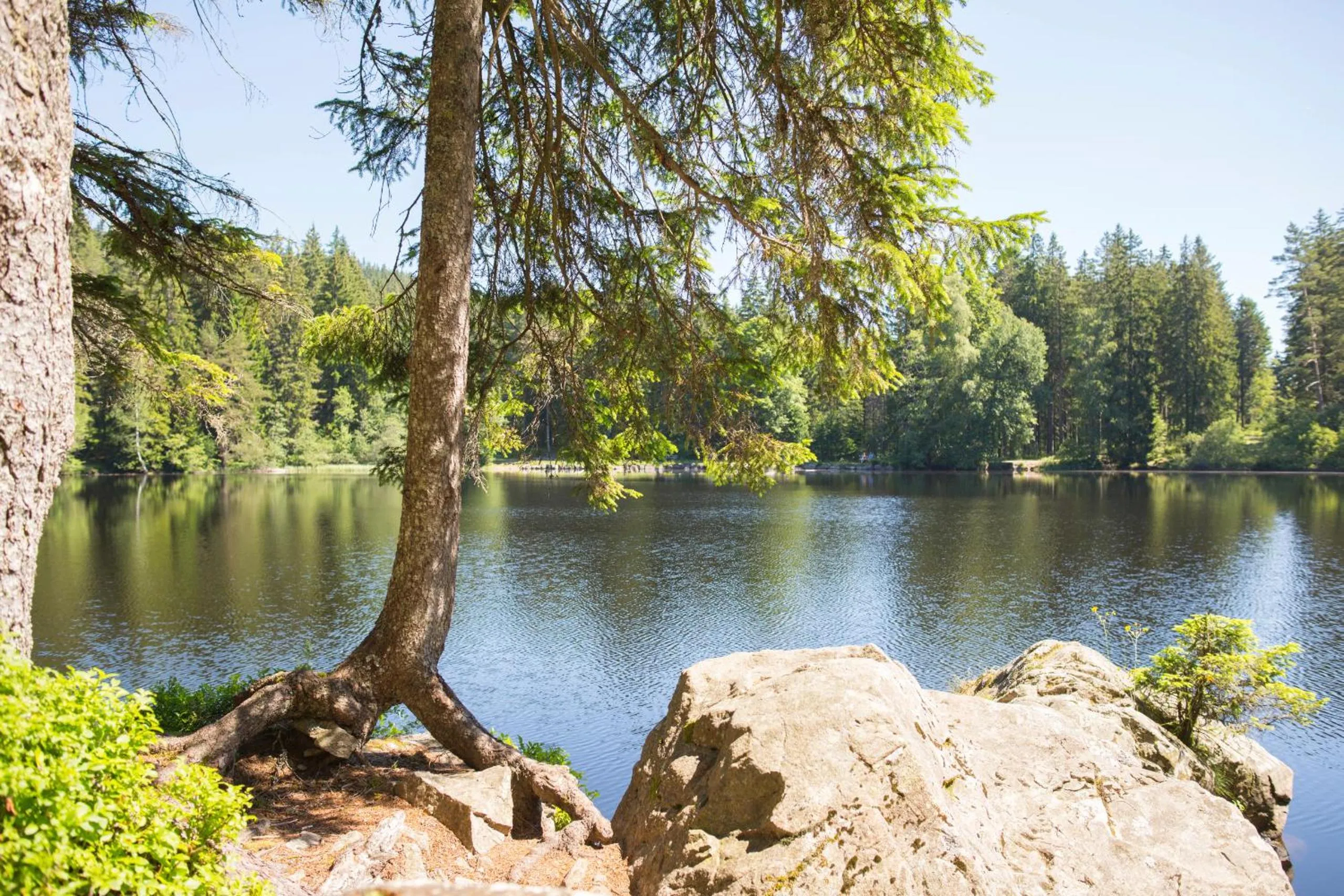 Hiking in Hotel Waldeck mit Restaurant "Florian'S"