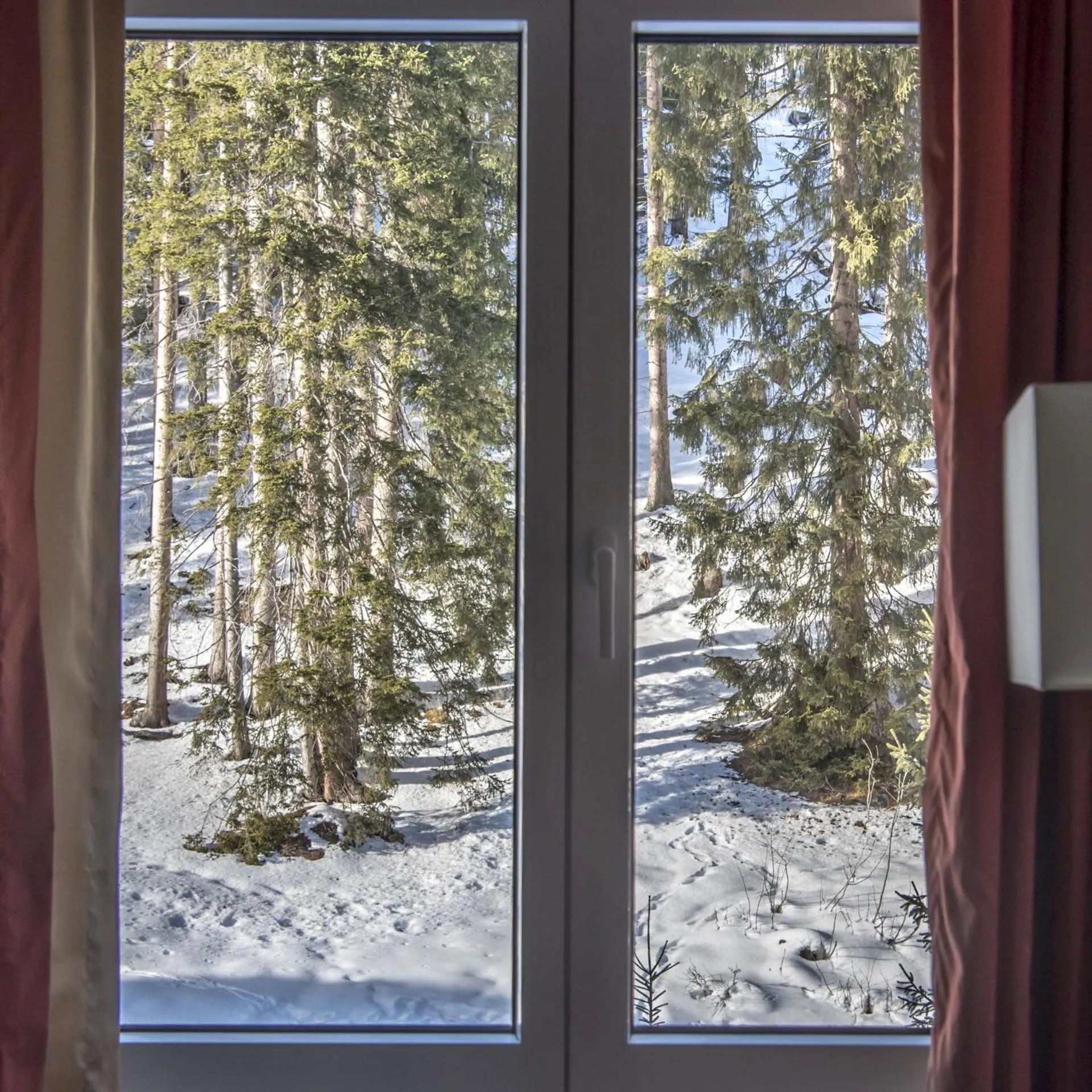 View (from property/room) in Waldhotel & SPA Davos - for body & soul