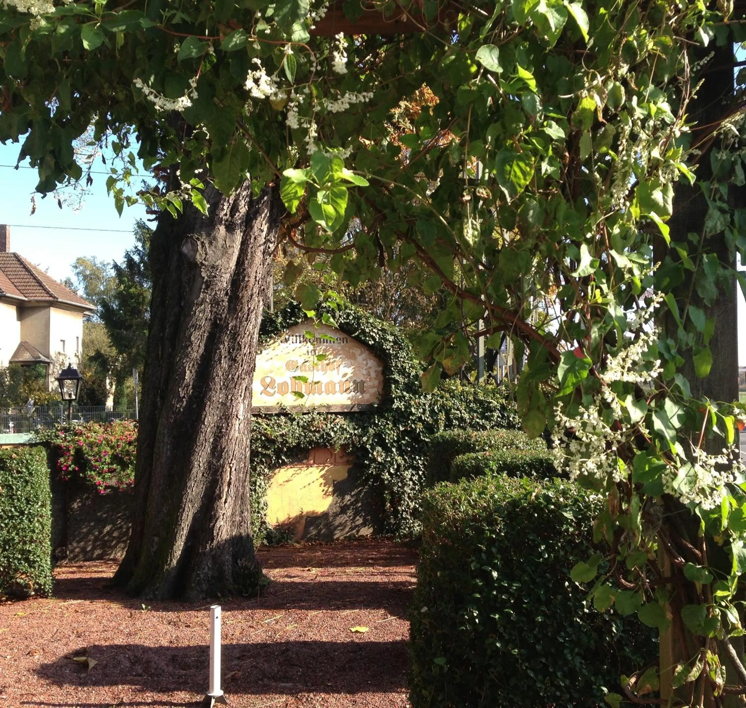 Facade/entrance in Land-gut-Hotel Lohmann