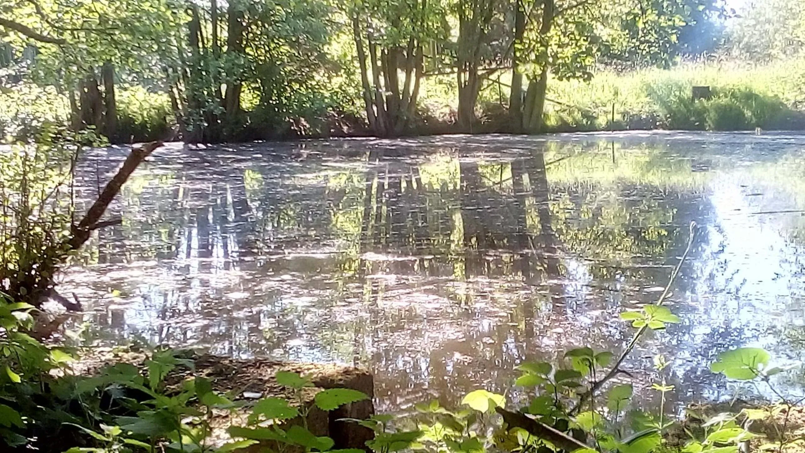 Natural landscape in Domaine de Gentilly