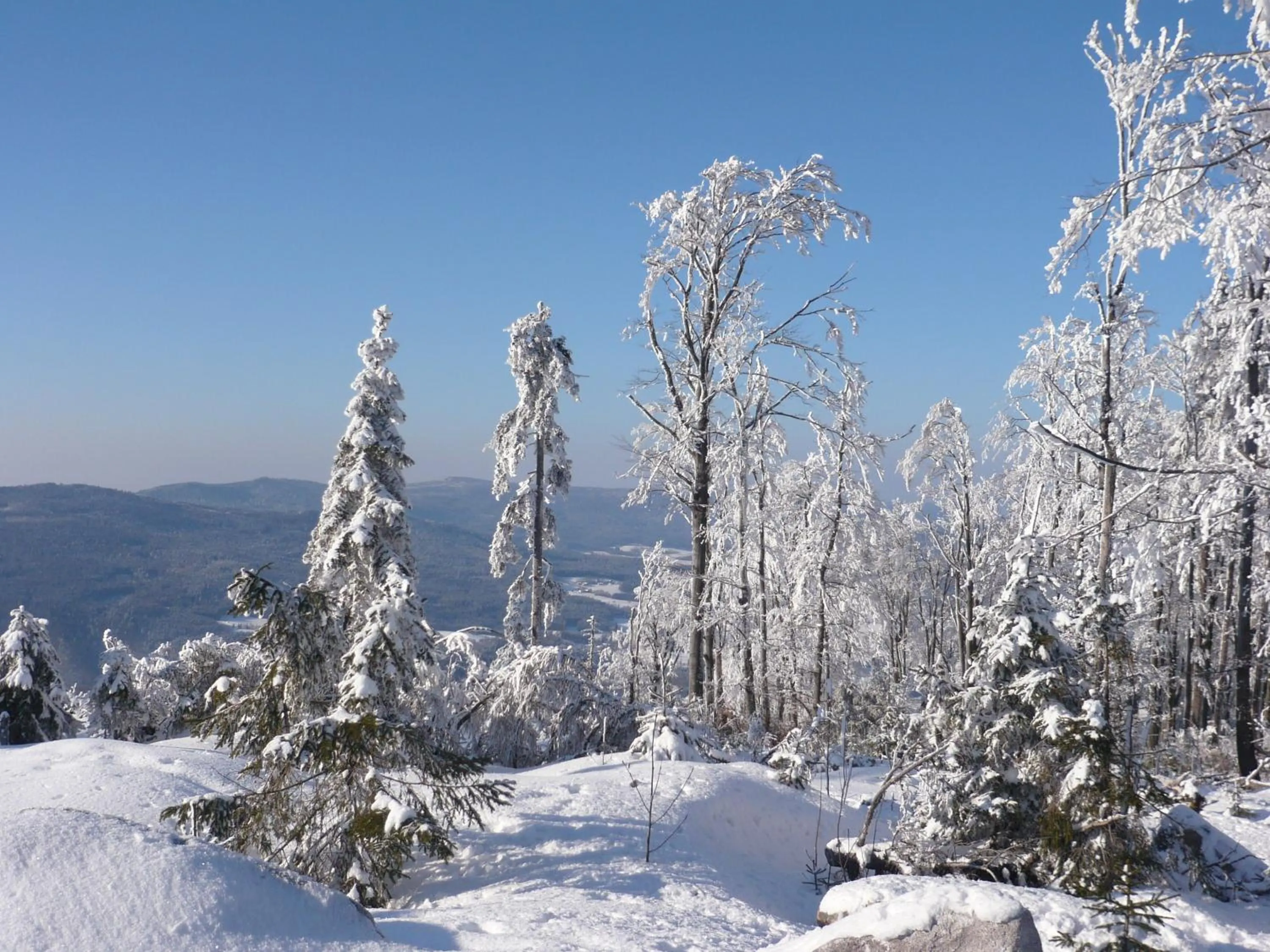 Natural landscape in Ferienwohnungen König