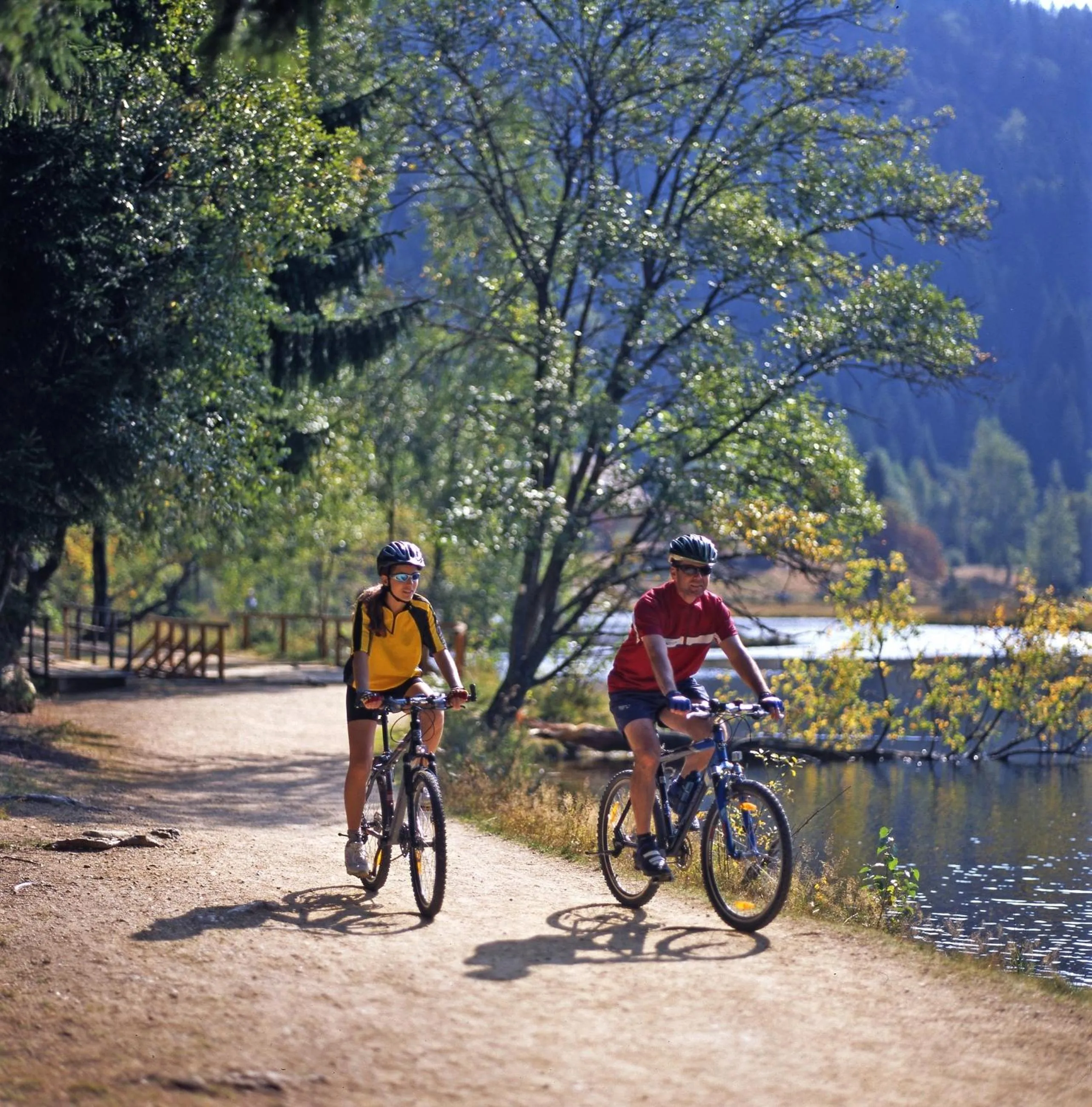 Cycling in Ferienwohnungen König
