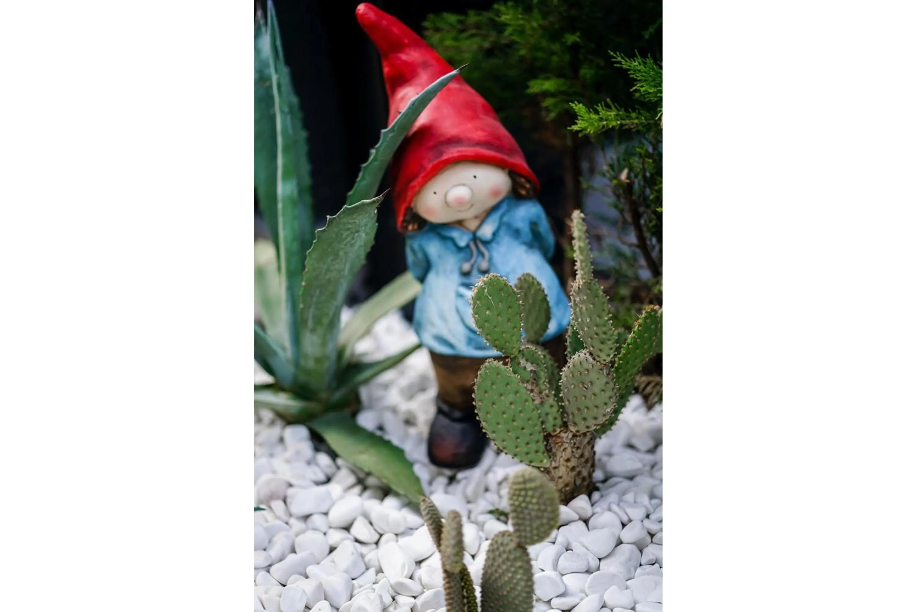 Garden in Stile Suite Family Hotel