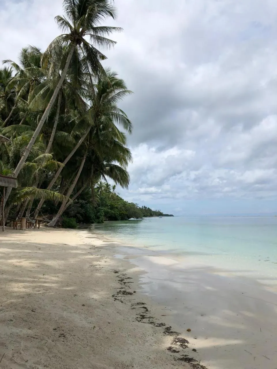 Natural landscape in Apo Diver Beach Resort