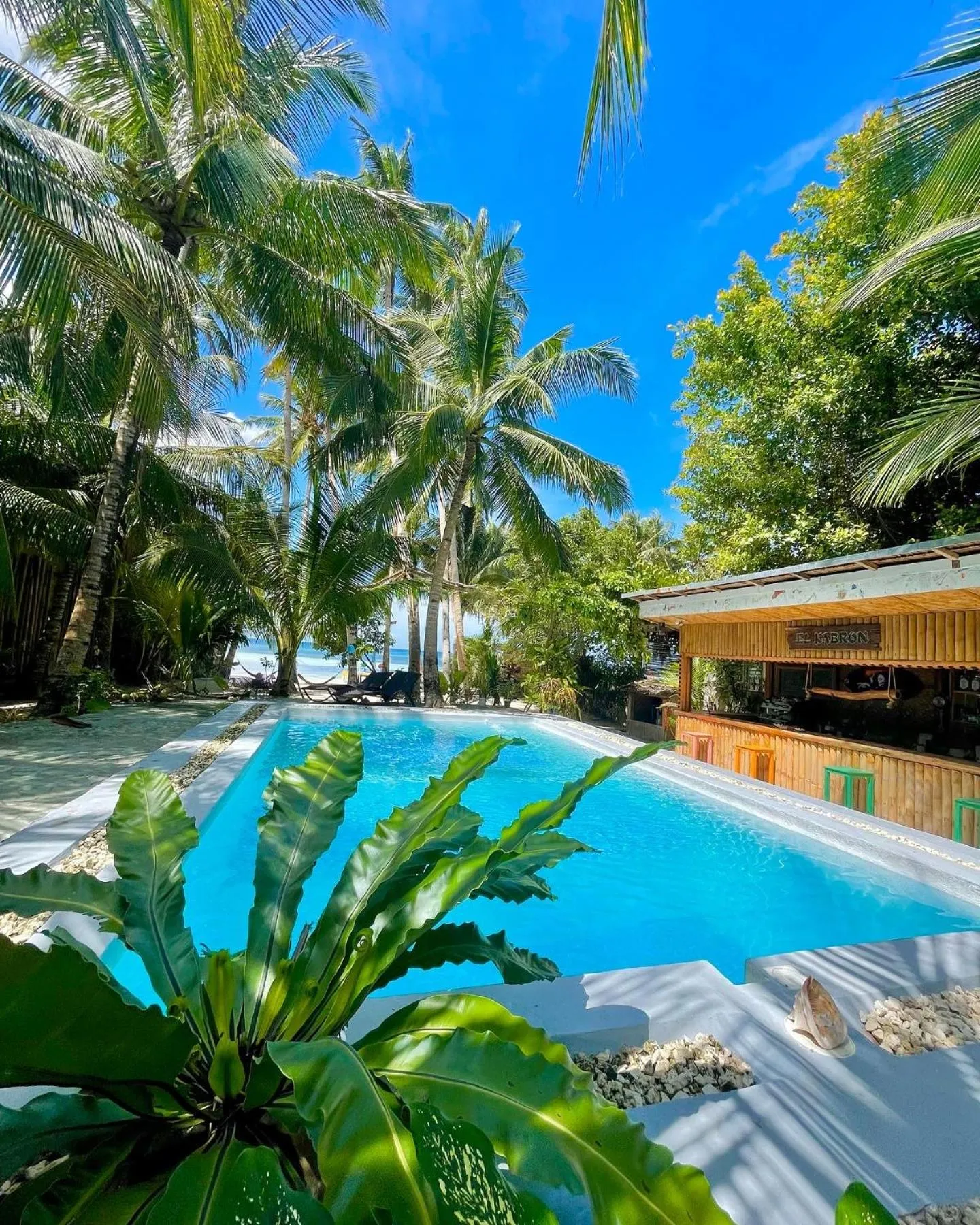 Swimming pool in Apo Diver Beach Resort