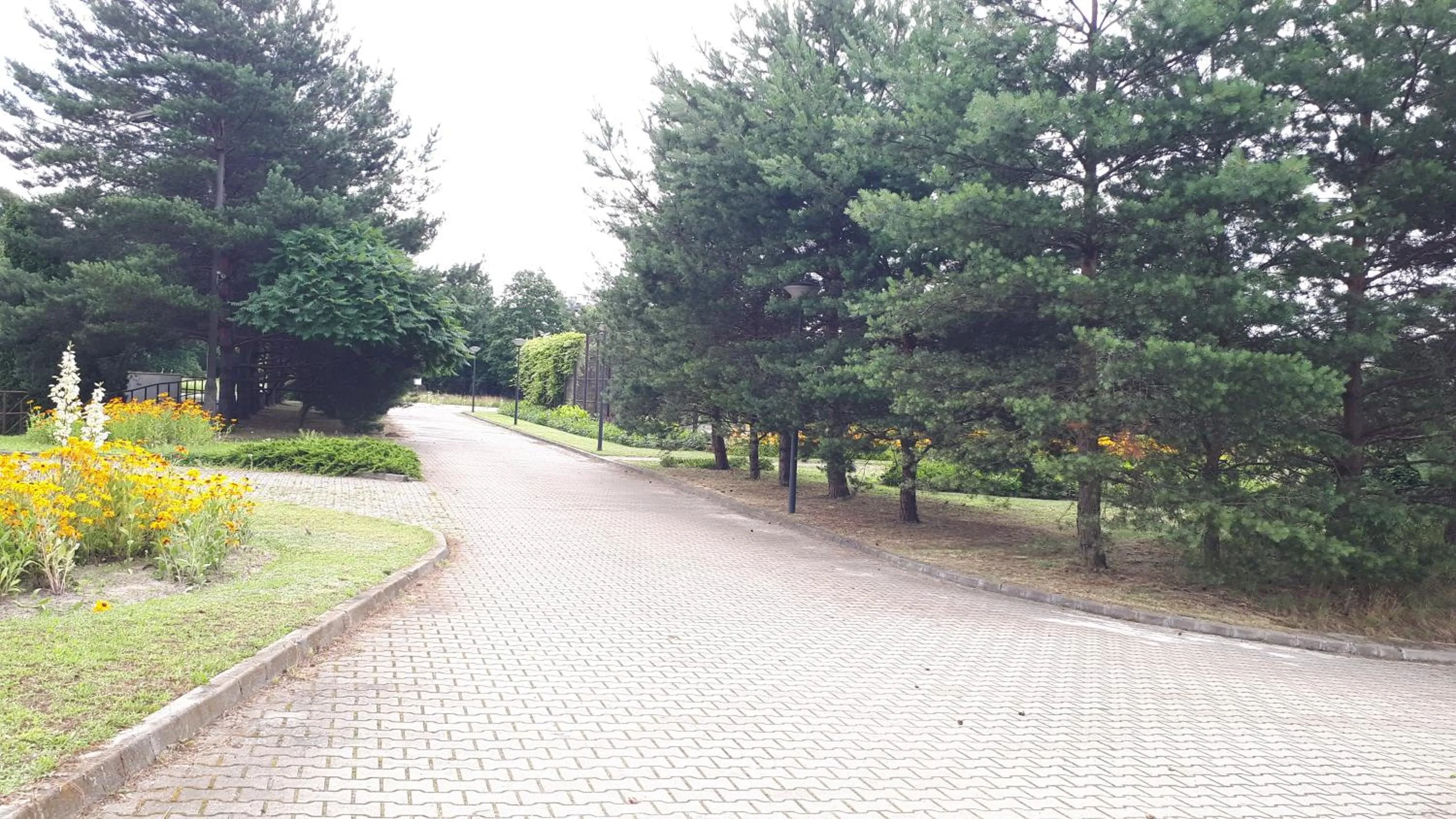 Garden in CKS Warszawa (Centrum Konferencyjno-Szkoleniowe CS Natura Tour)