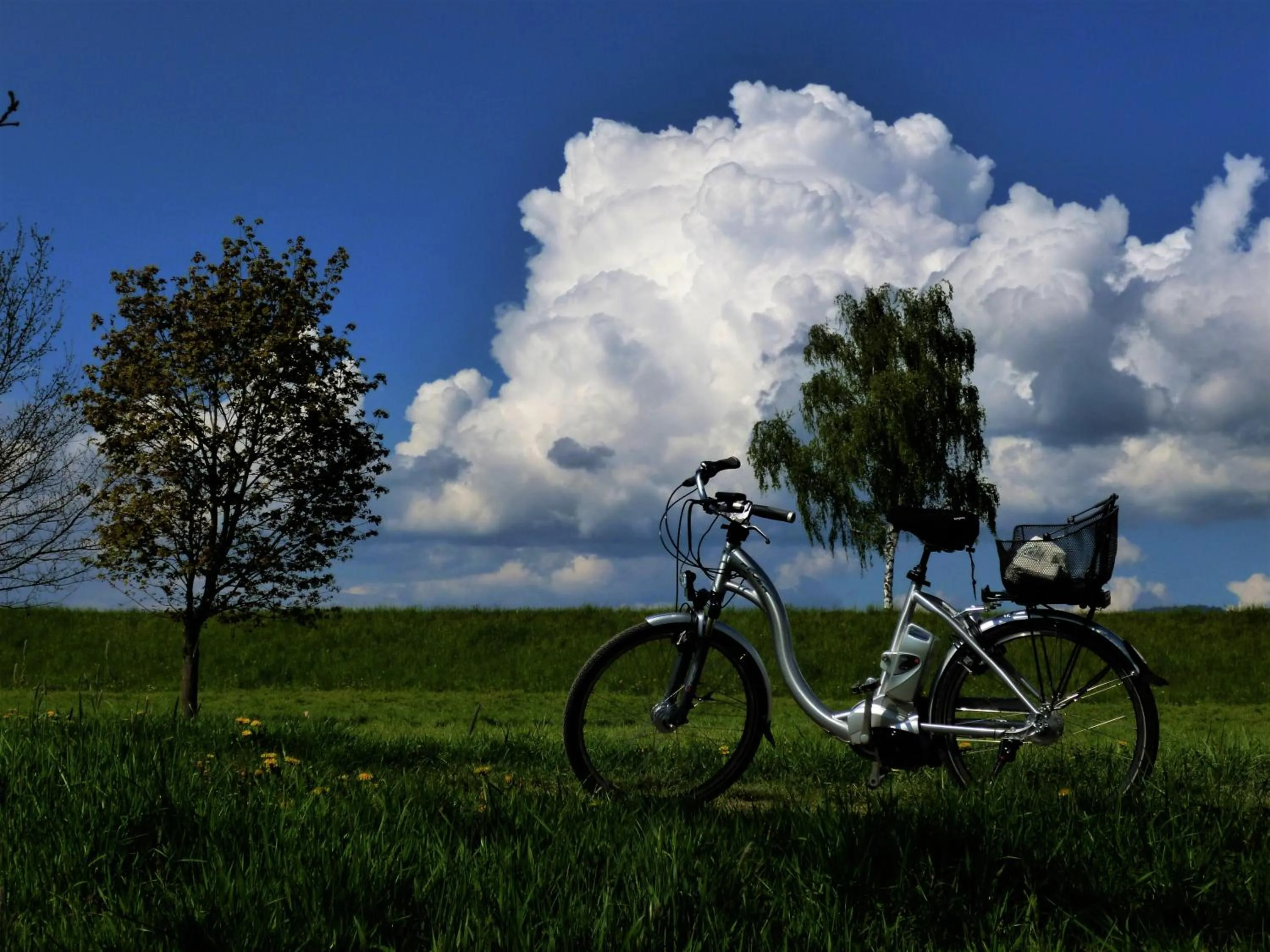 Activities in Bachhof Resort Apartments