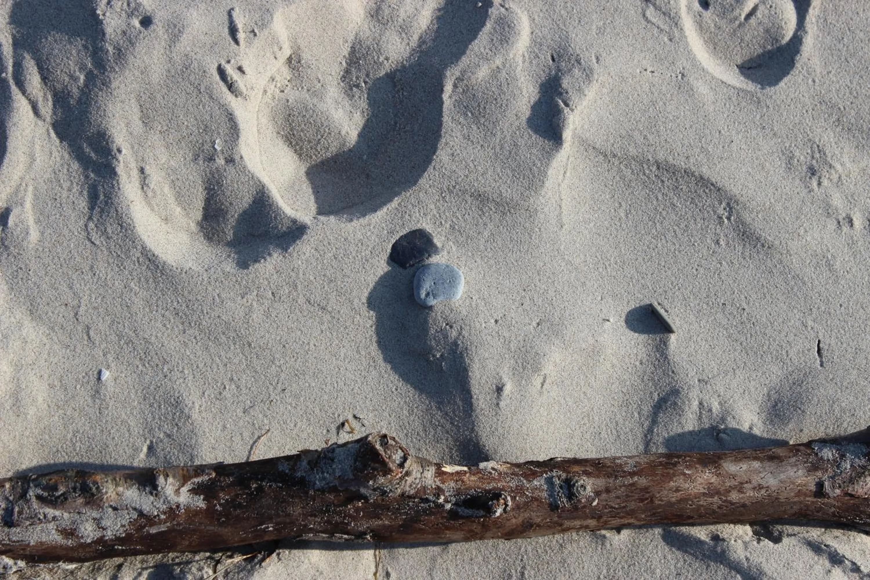 Area and facilities in Hotel Villa Subklew