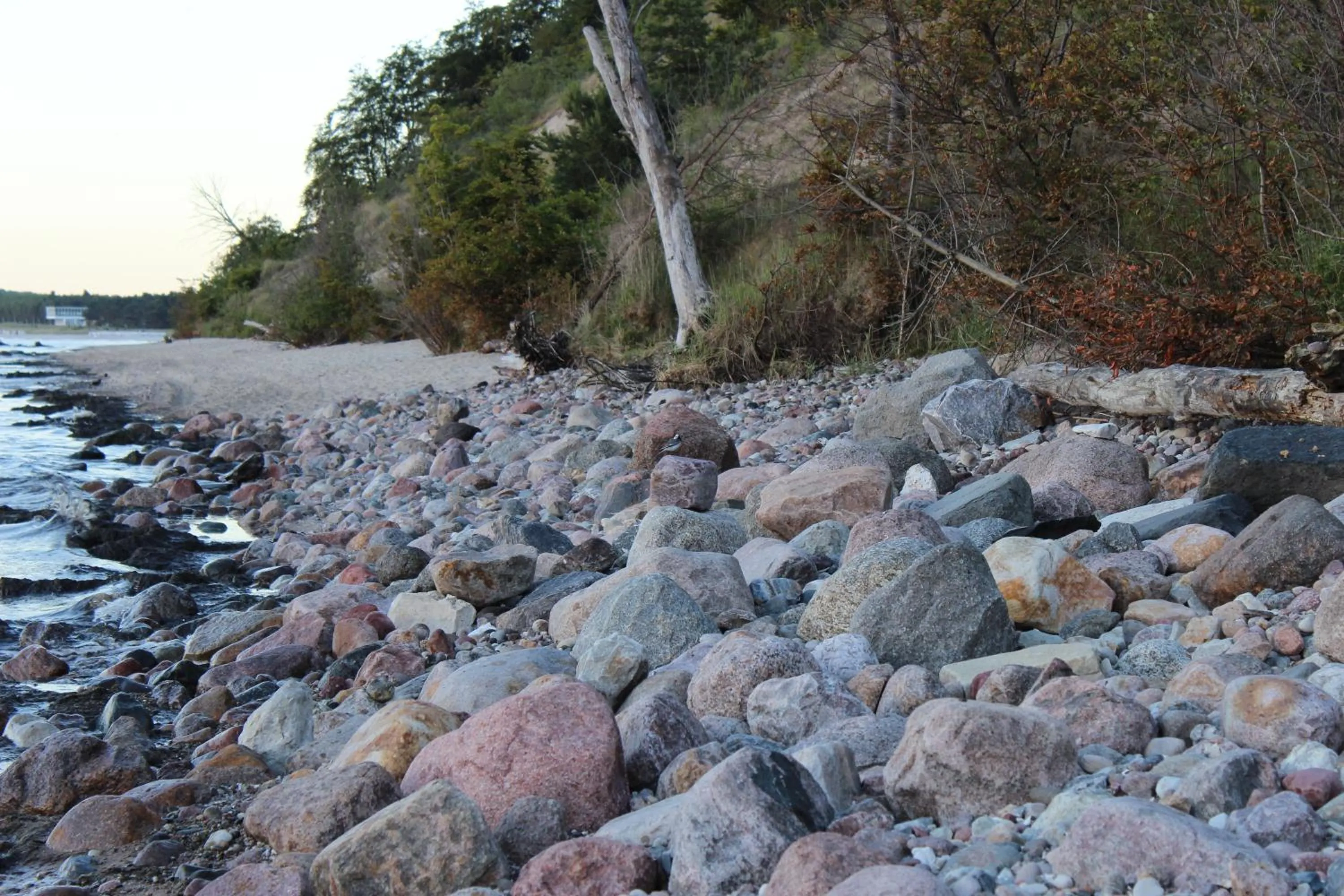 Area and facilities in Hotel Villa Subklew