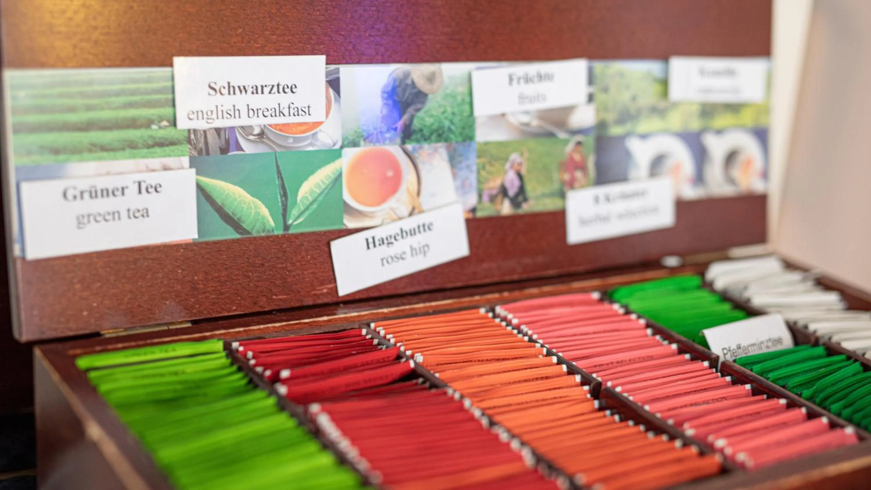 Buffet breakfast in Hotel Elite