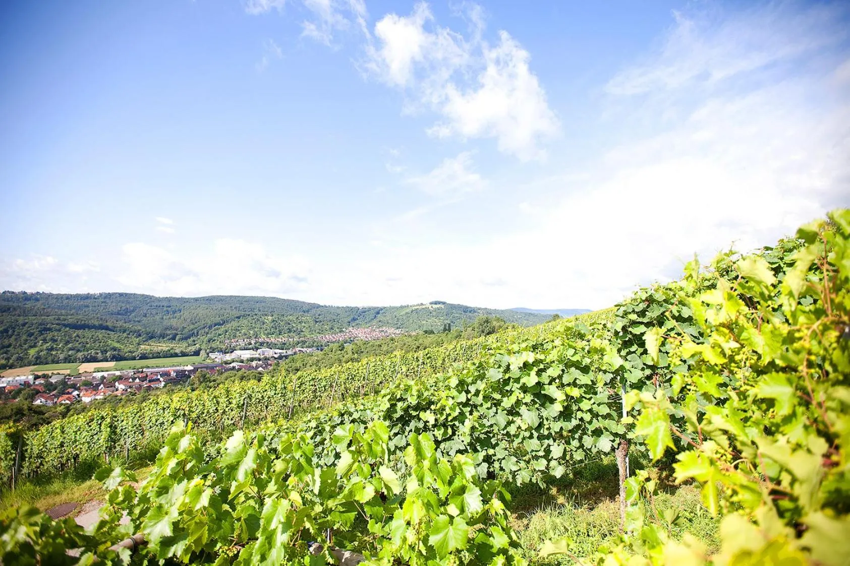 Area and facilities in Hotel Restaurant Lamm Hebsack