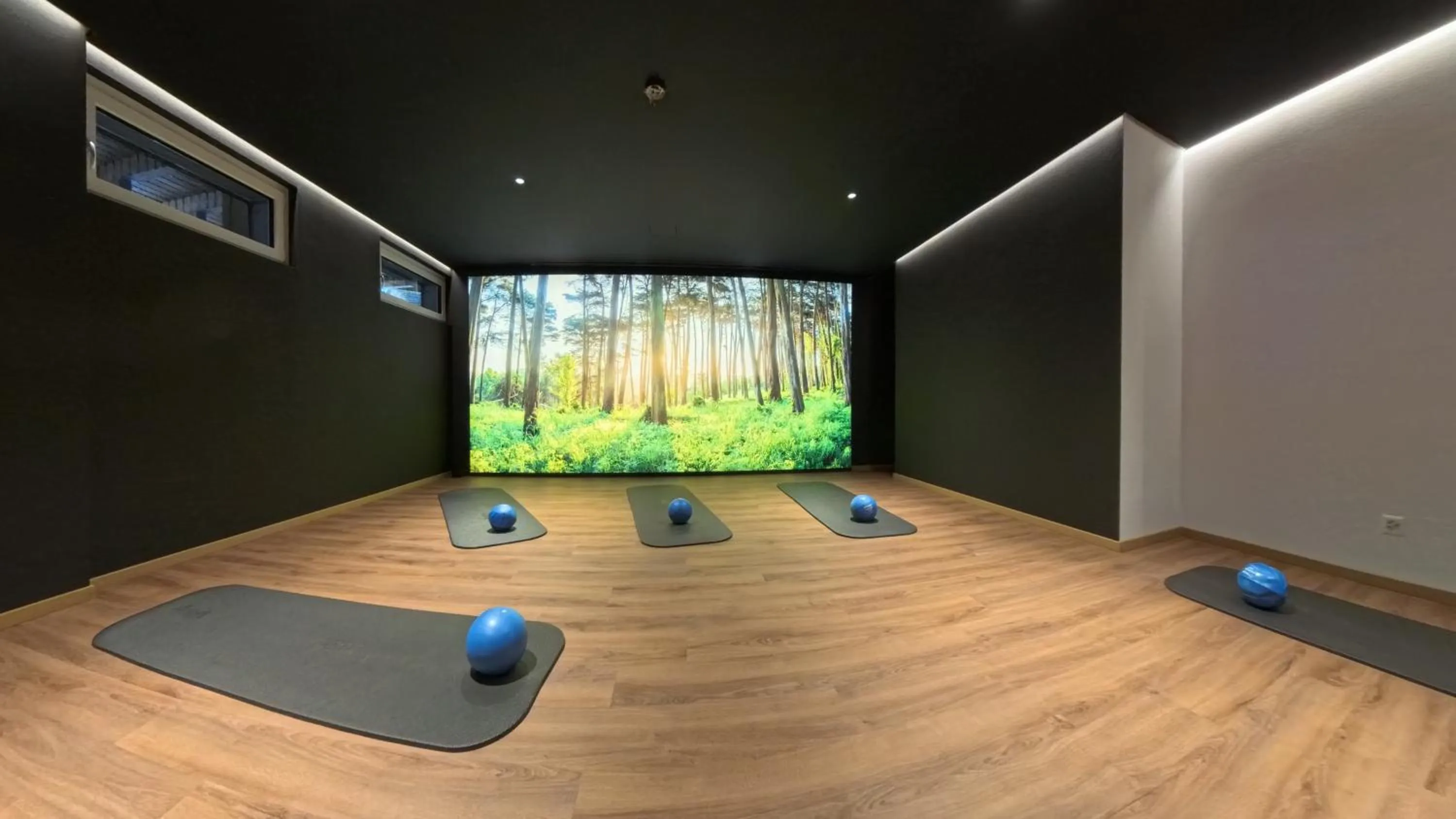 Fitness centre/facilities in Therme 51° Hotel Physio & Spa