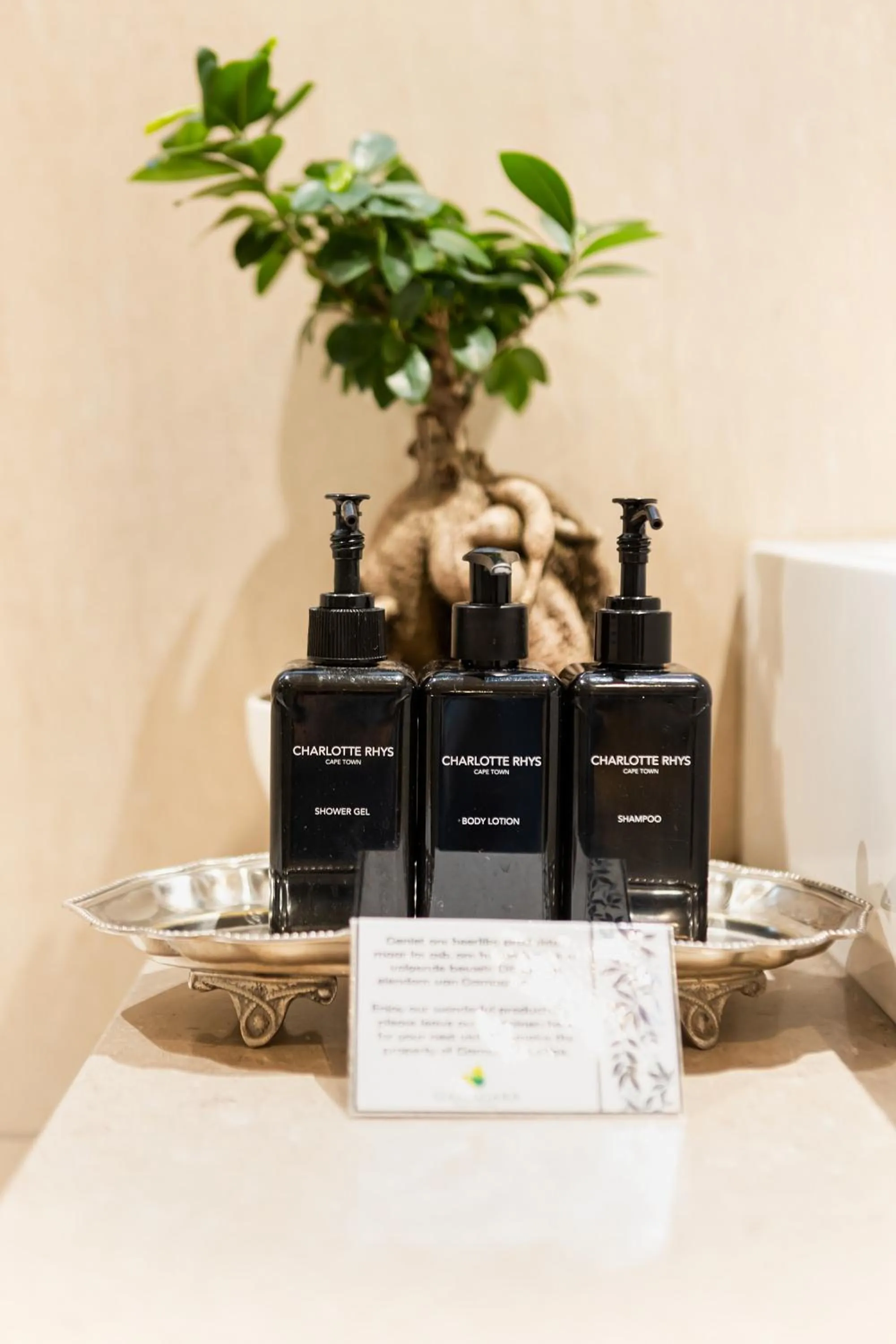 Shower in Kathu Gamagara Lodge