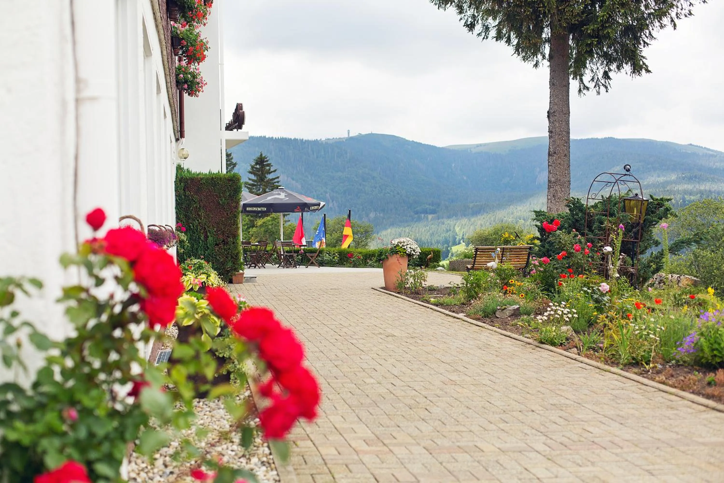 Facade/entrance in Hotel Diana