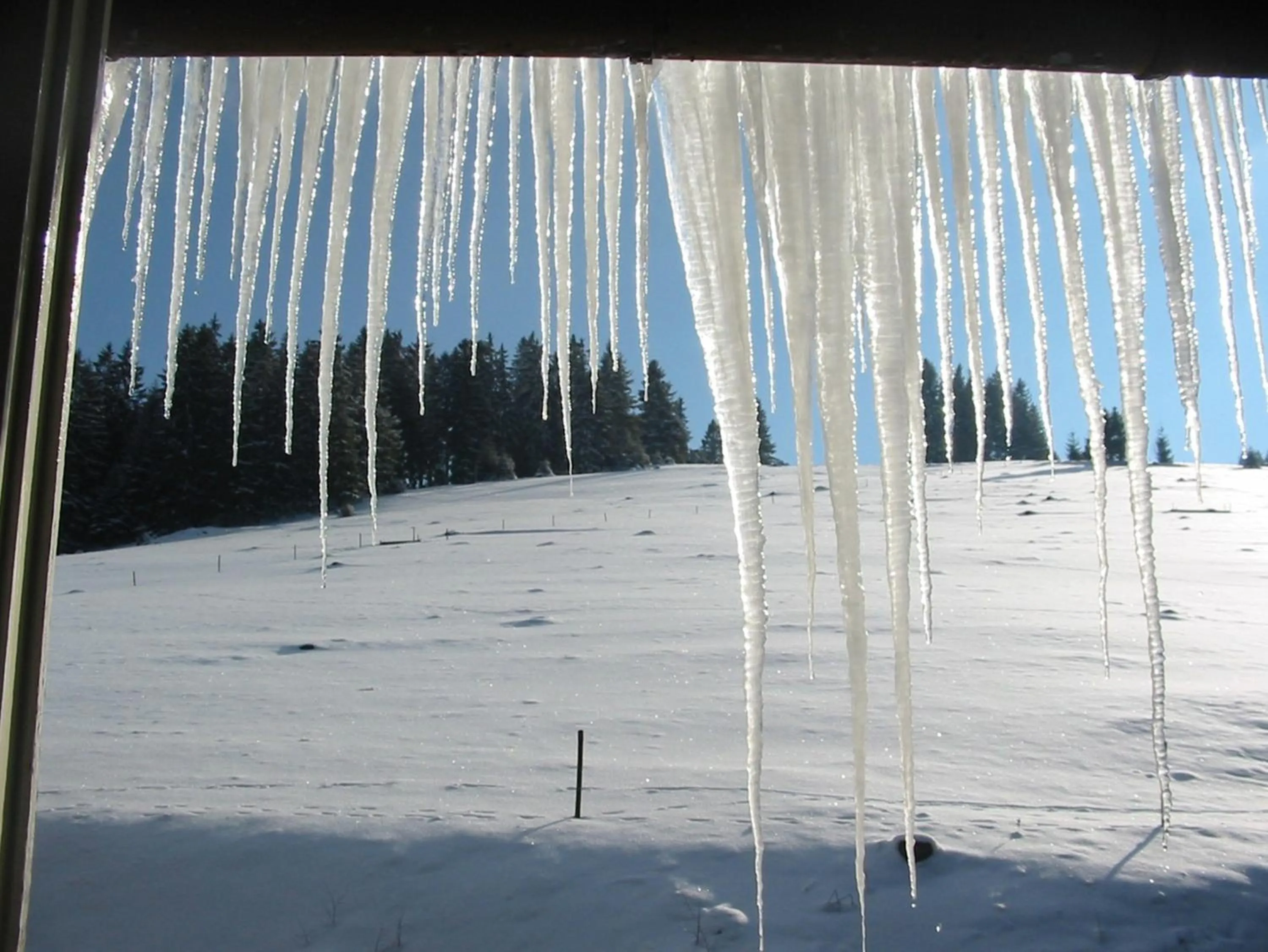 Other in Hotel Diana