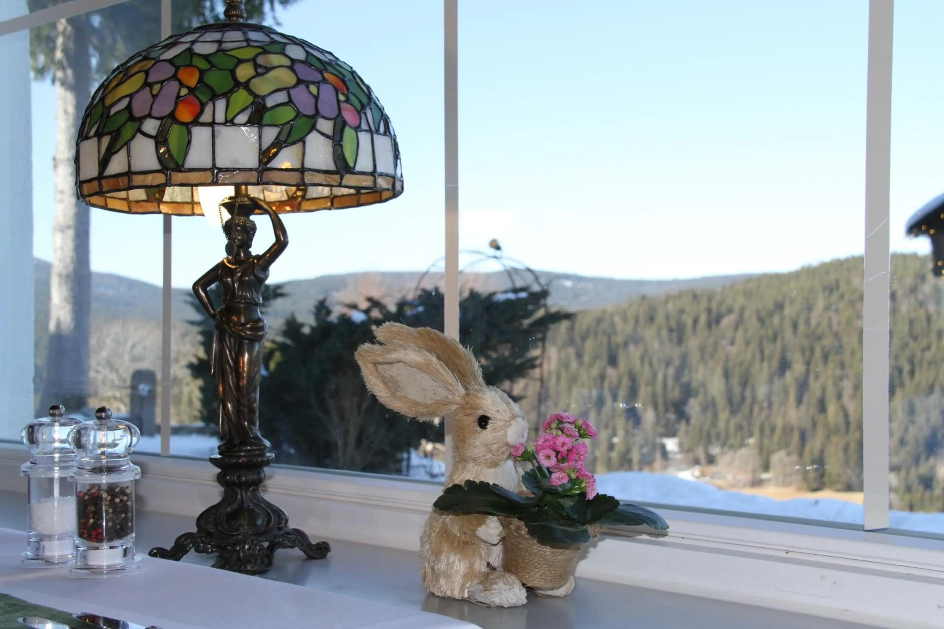 Restaurant/places to eat in Hotel Diana