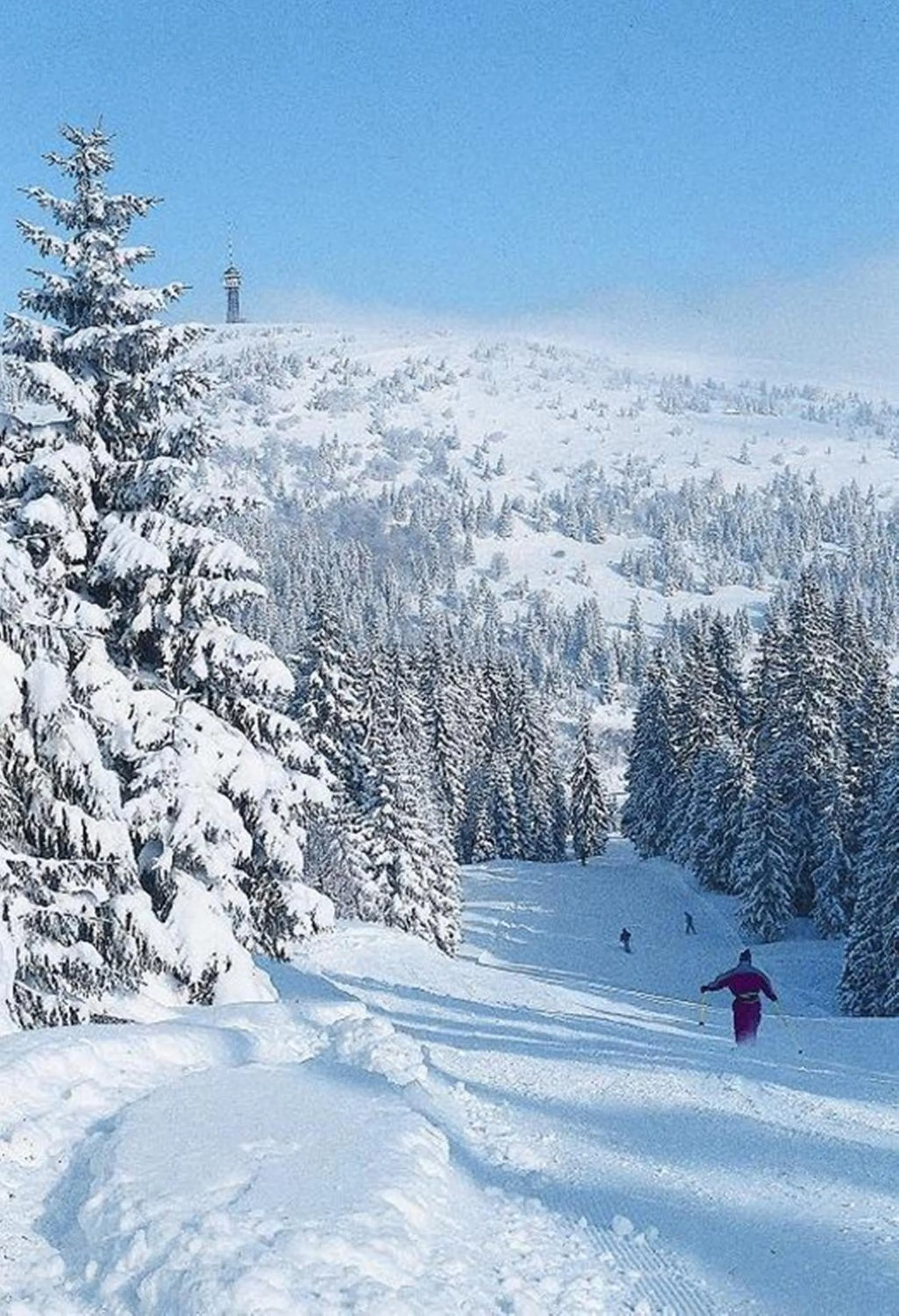 Skiing in Hotel Diana