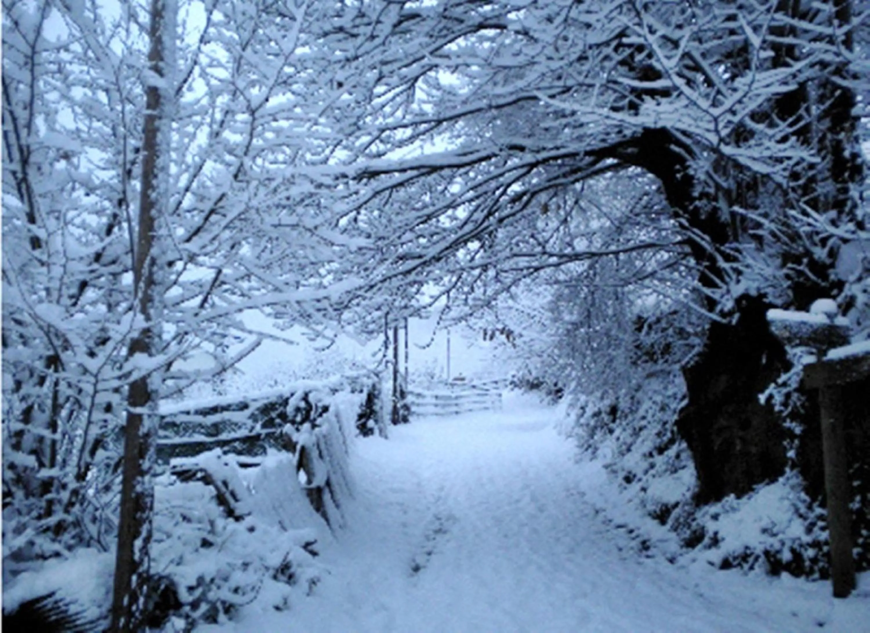 Hiking in Hotel Diana