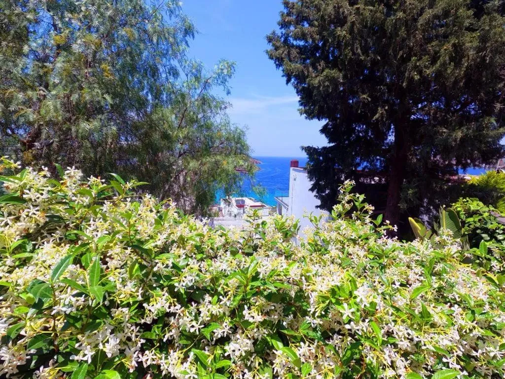 Natural landscape in Life Butiq Otel