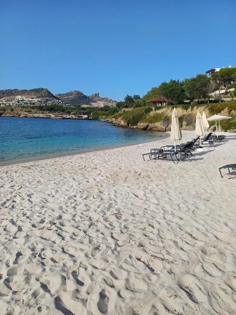 Day in Life Butiq Otel