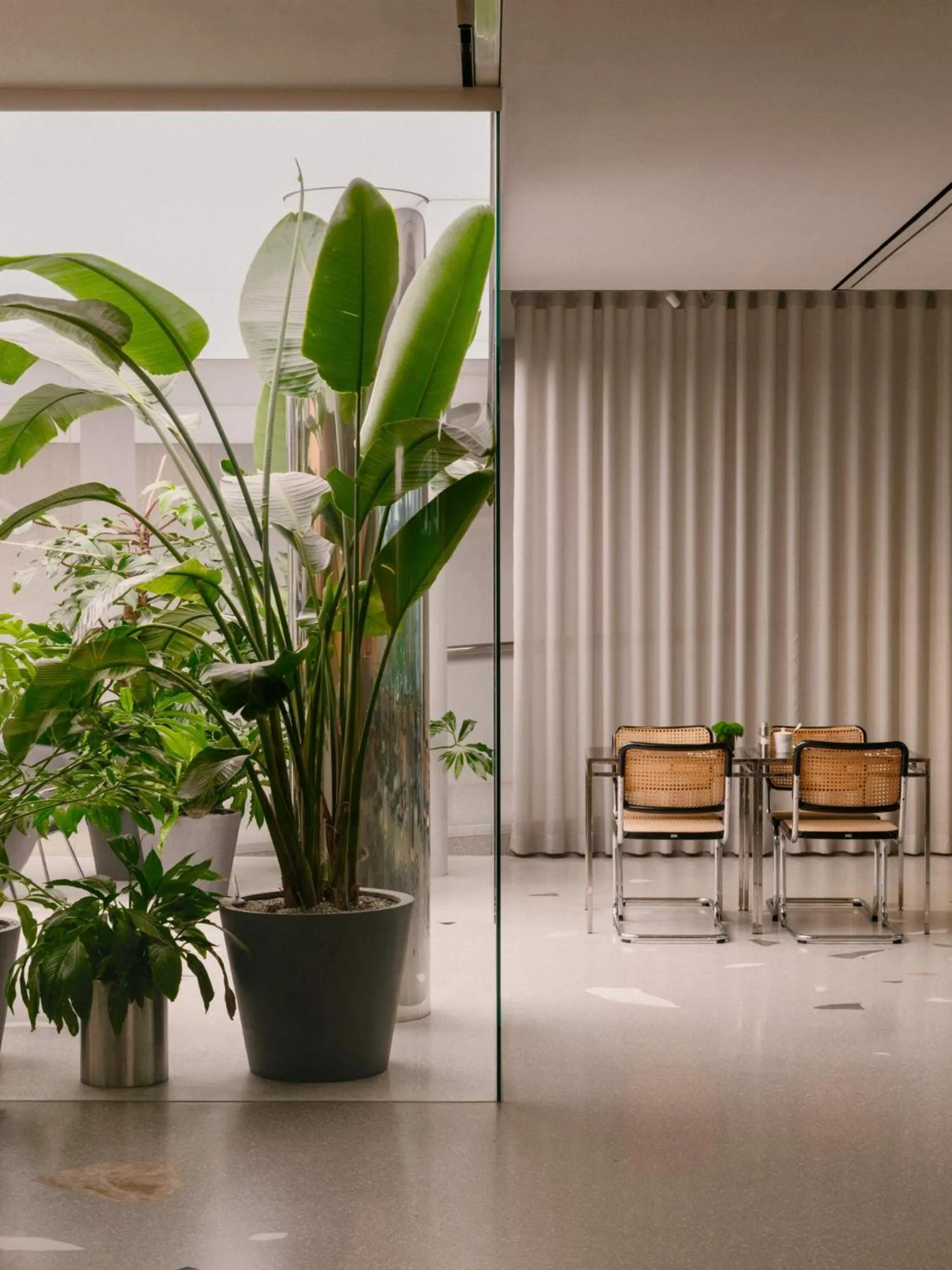 Restaurant/places to eat in Hotel Josef