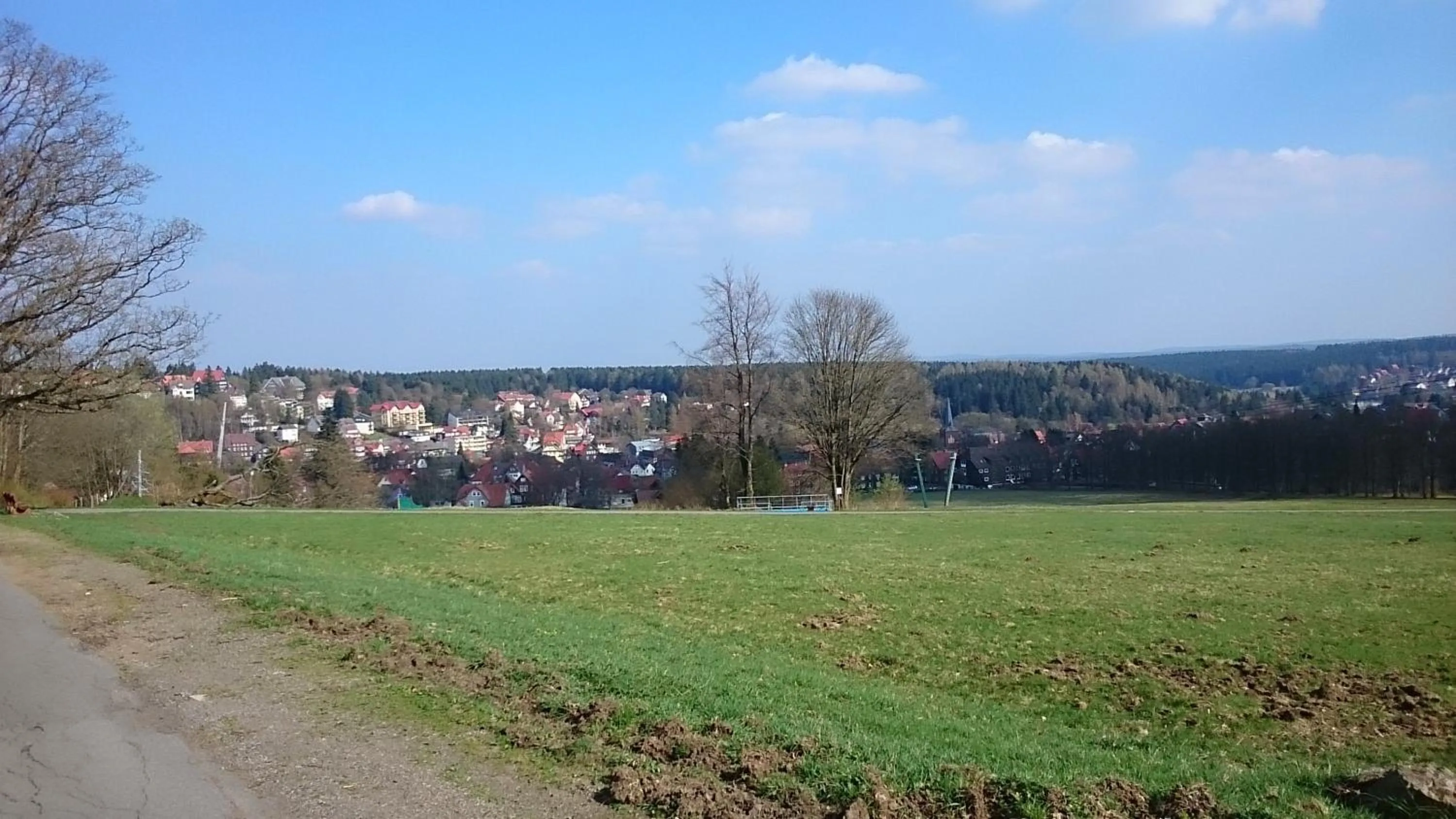 Natural landscape in Memory Hotel