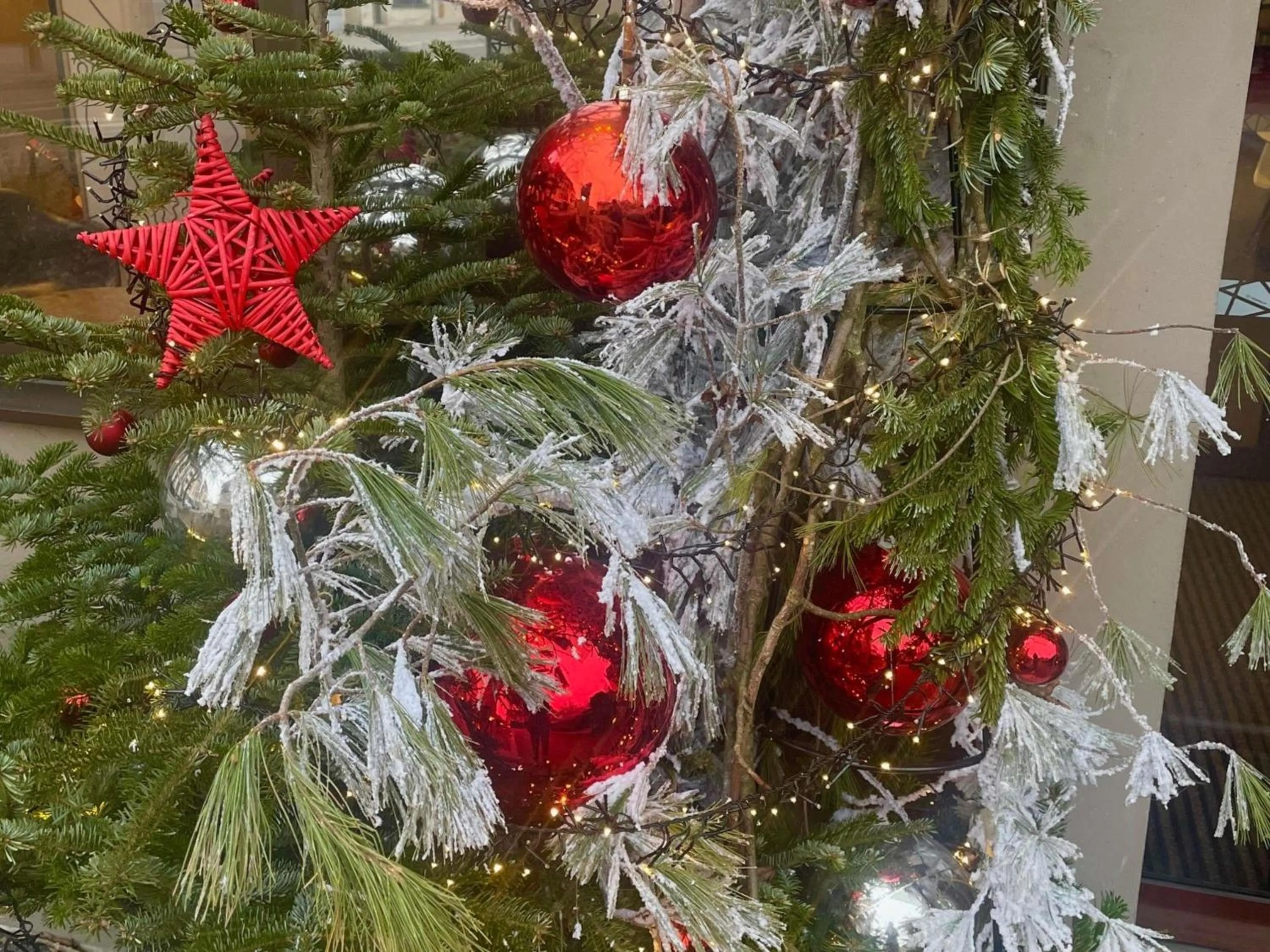 Property building in ibis Colmar Centre