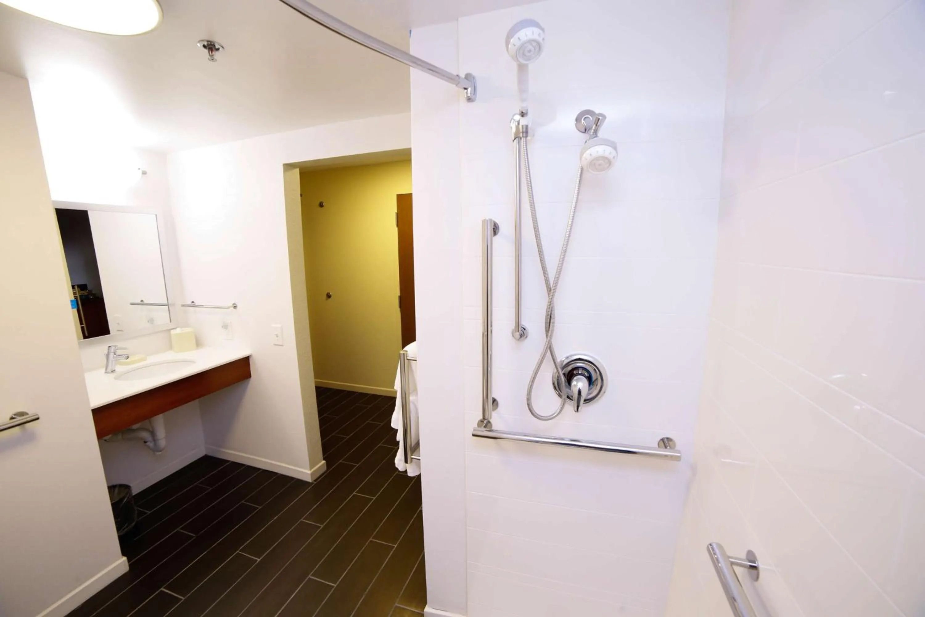 Bathroom in Hampton Inn Franklin, NC