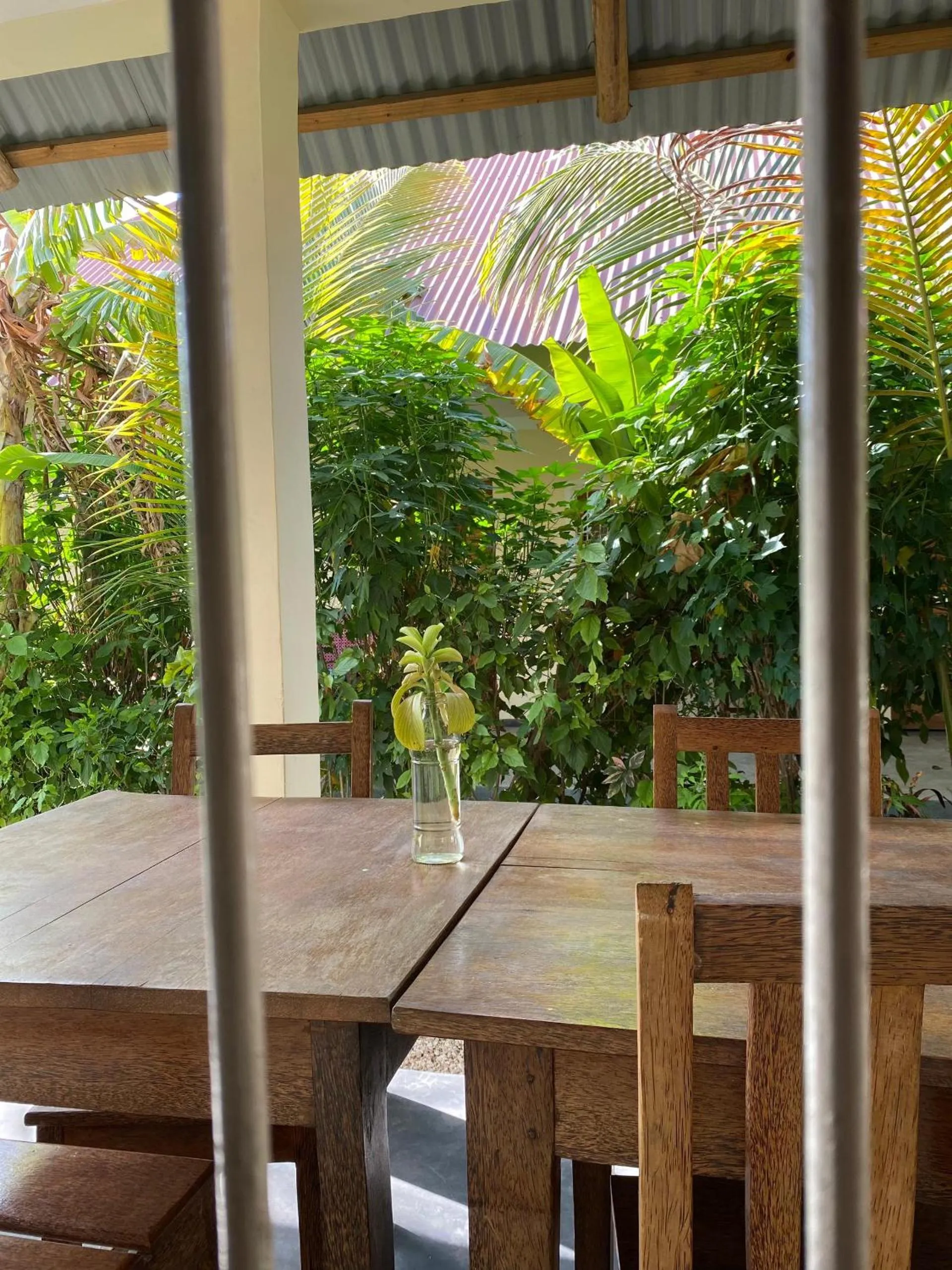 Day in Shamba Village