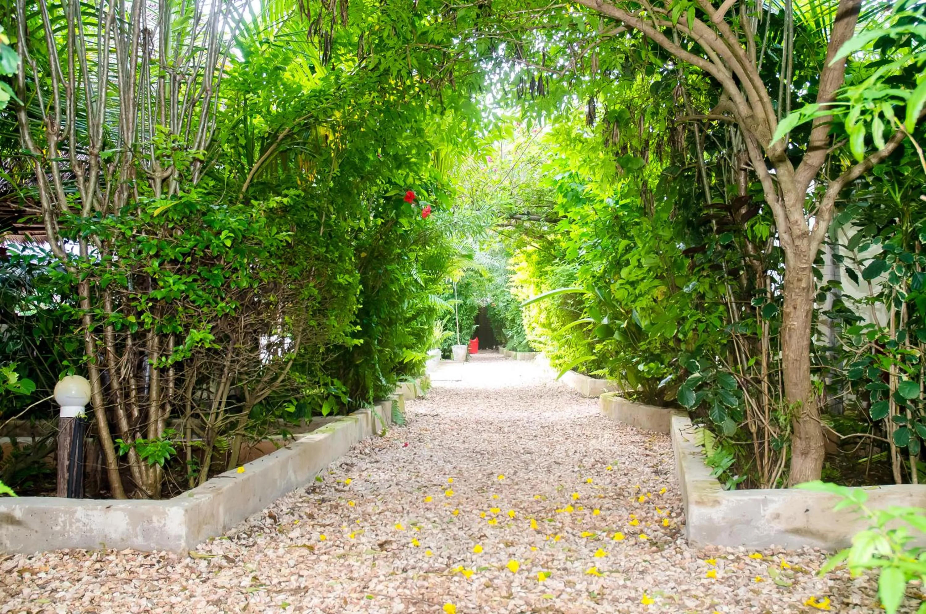 Garden in Shamba Village