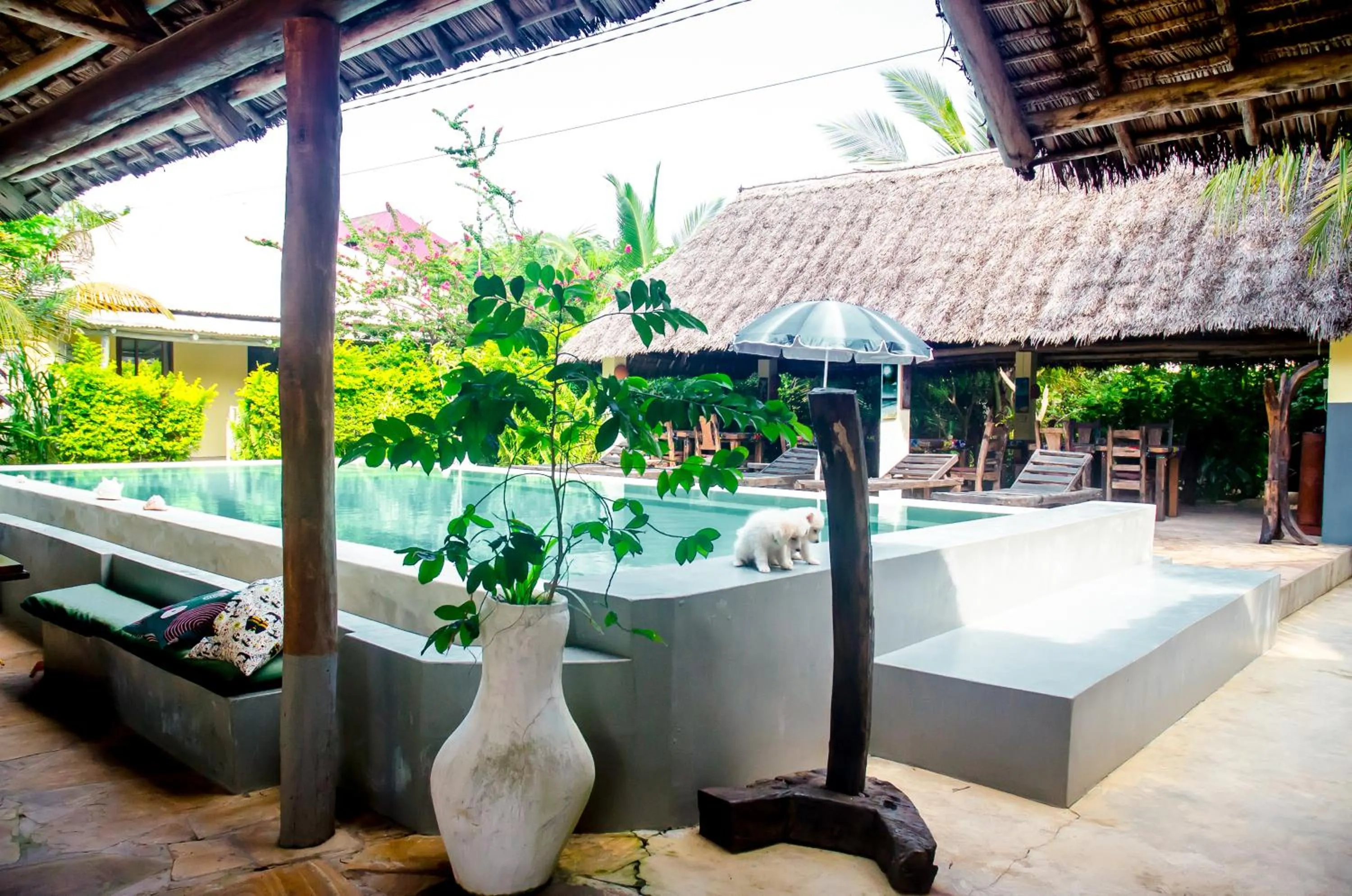 Swimming pool in Shamba Village