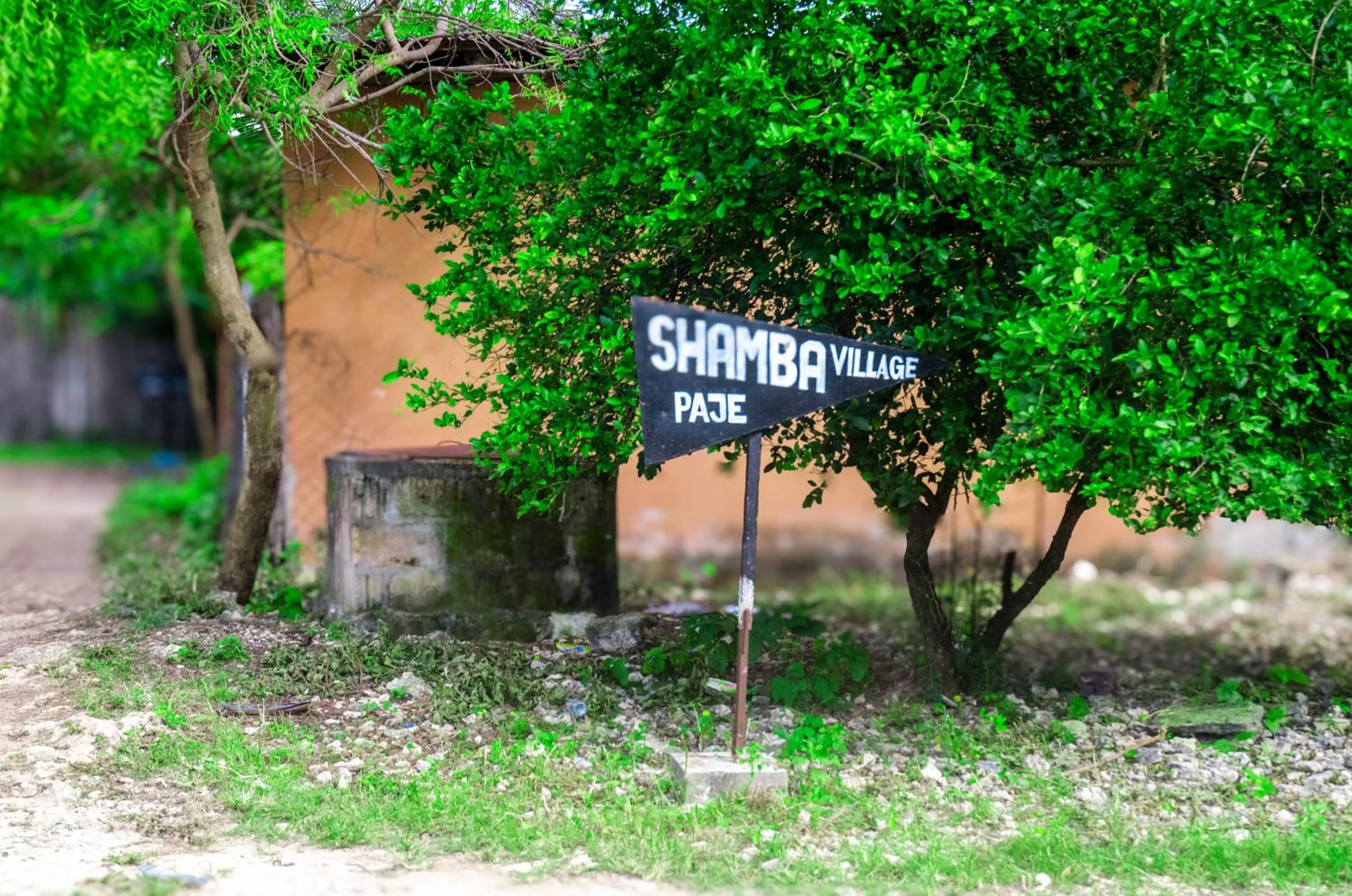 Location in Shamba Village