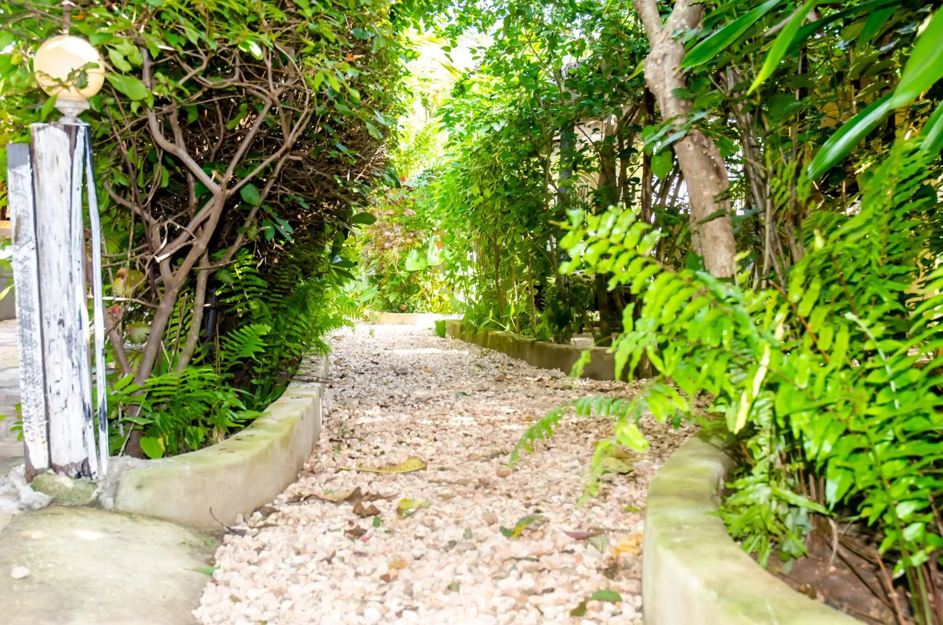 Garden in Shamba Village