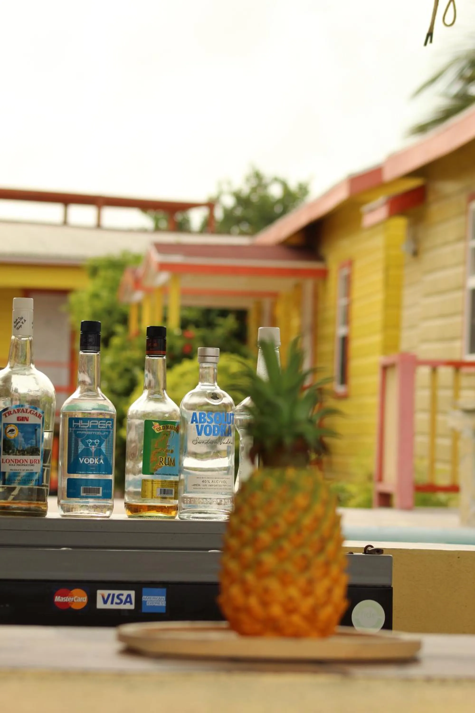 Lounge or bar in Tropical Paradise Express