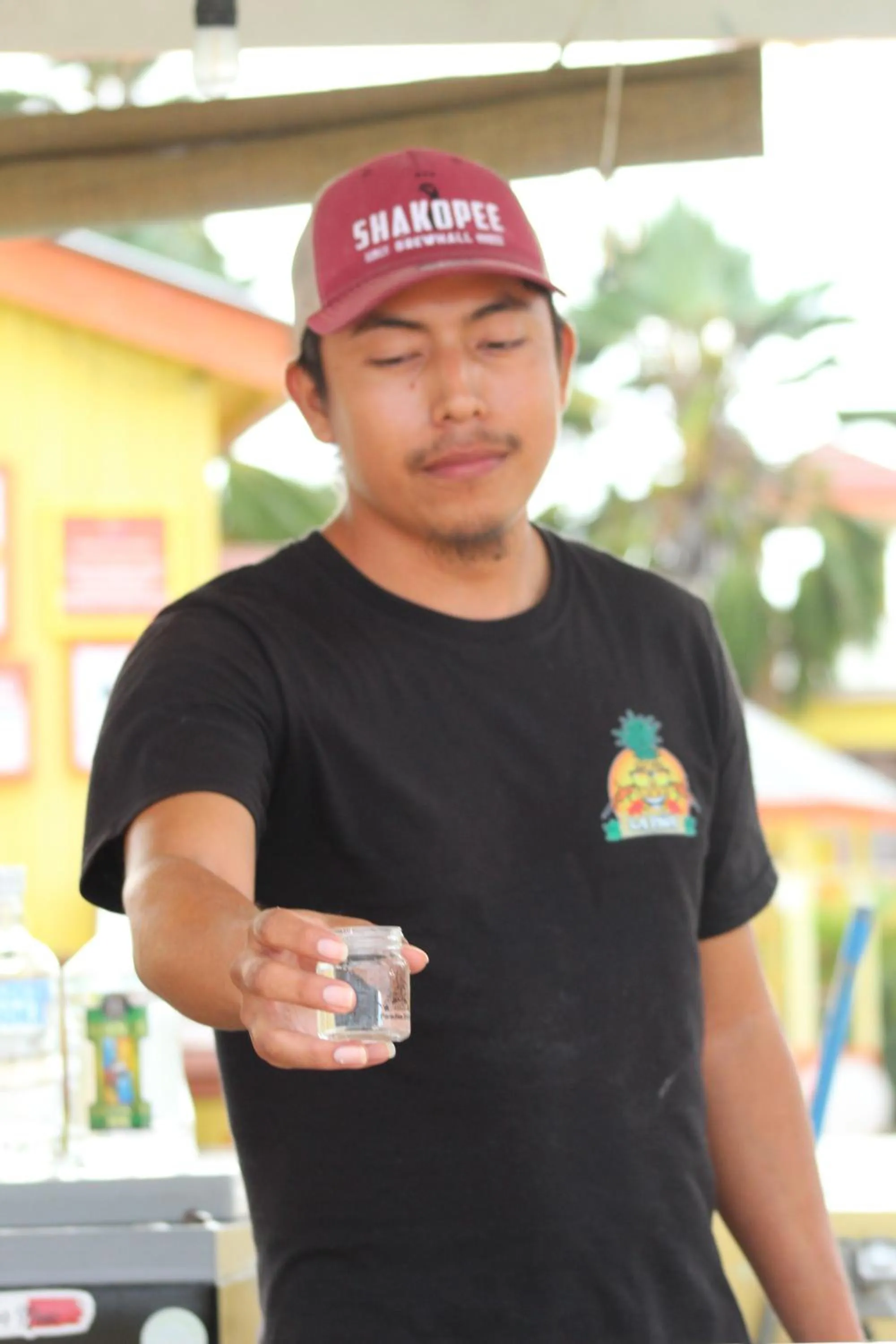 Lounge or bar in Tropical Paradise Express