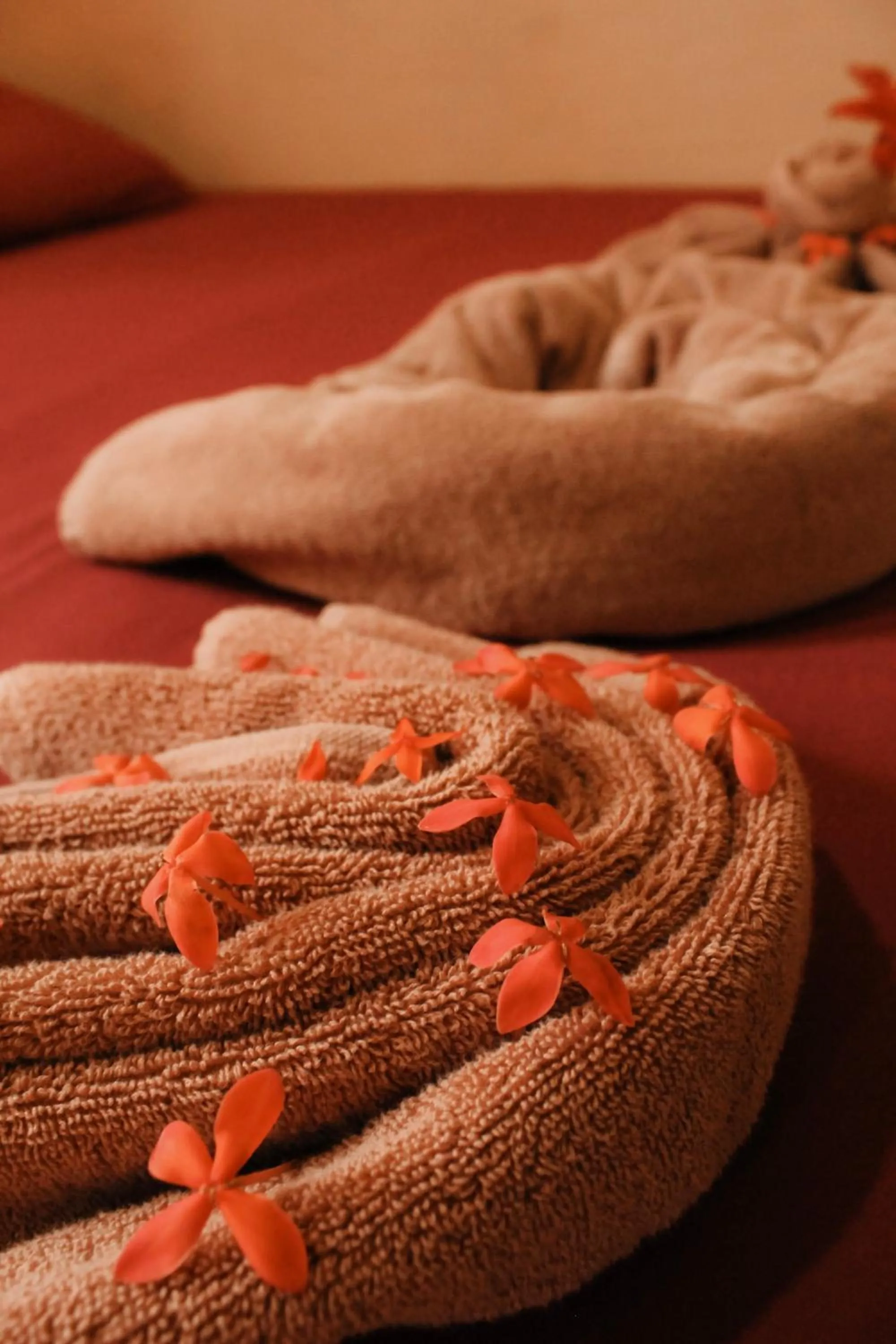 towels in Tropical Paradise Express