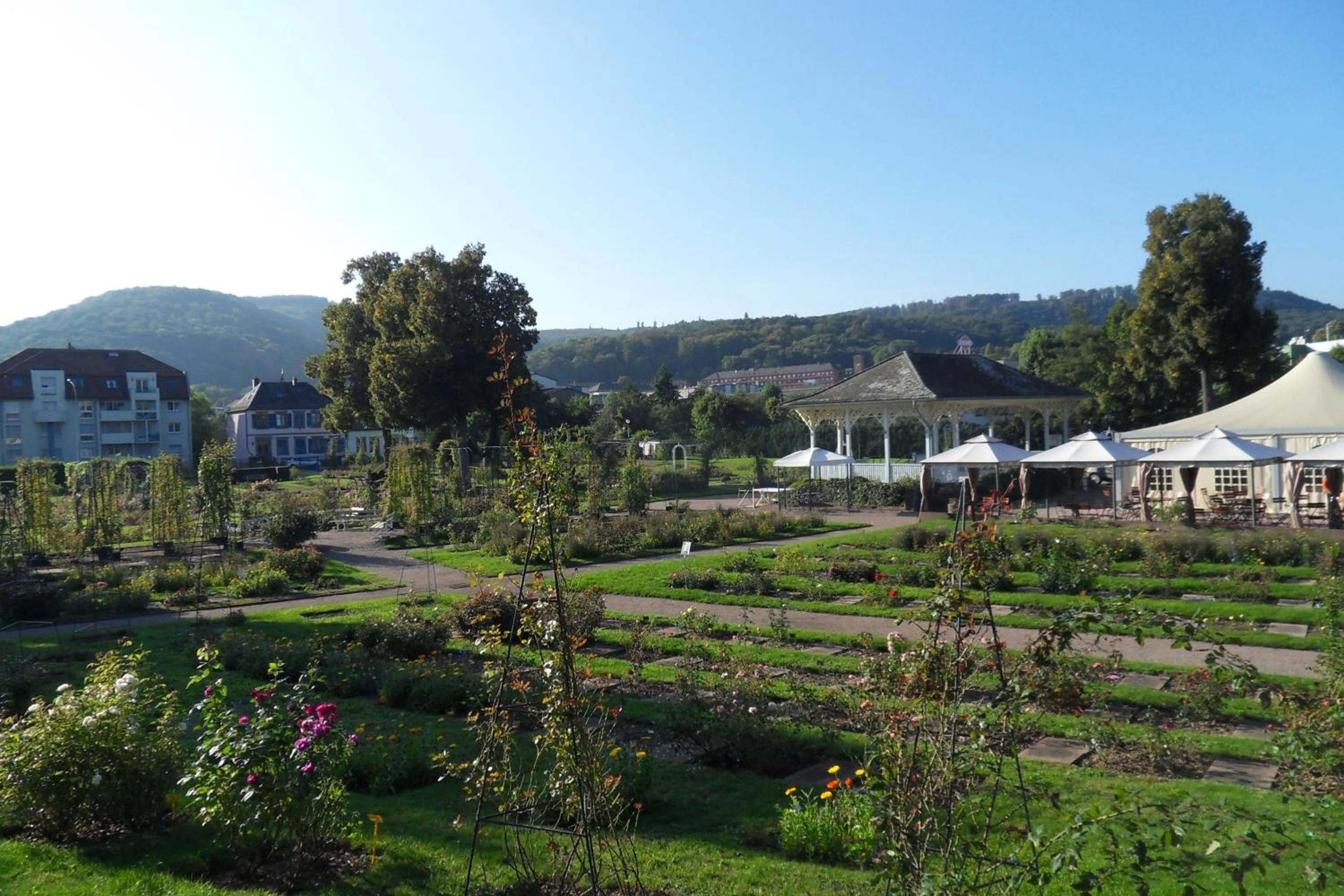 Activities in hotelF1 Saverne Monswiller