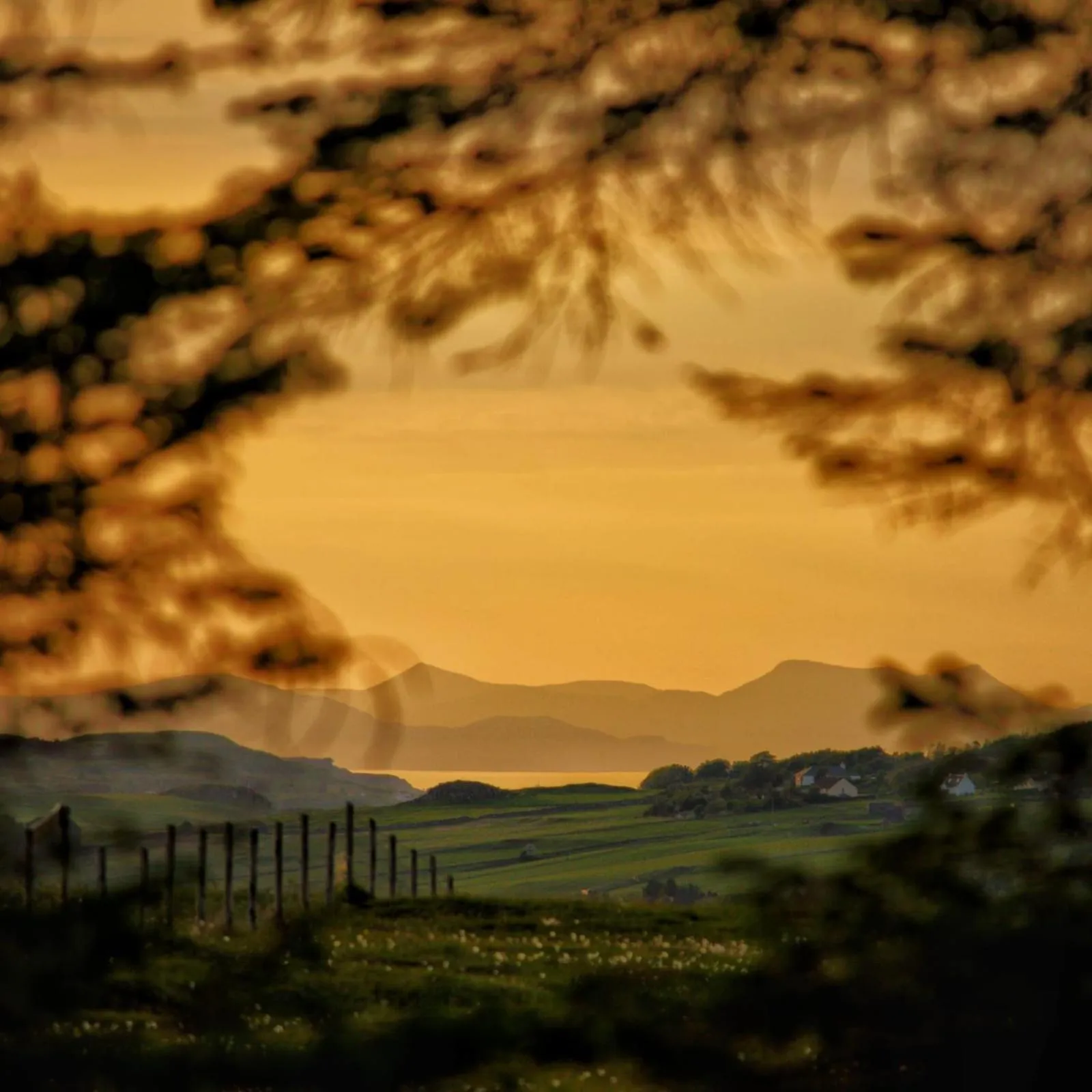 Sunset in The Red Red Robin Cottage