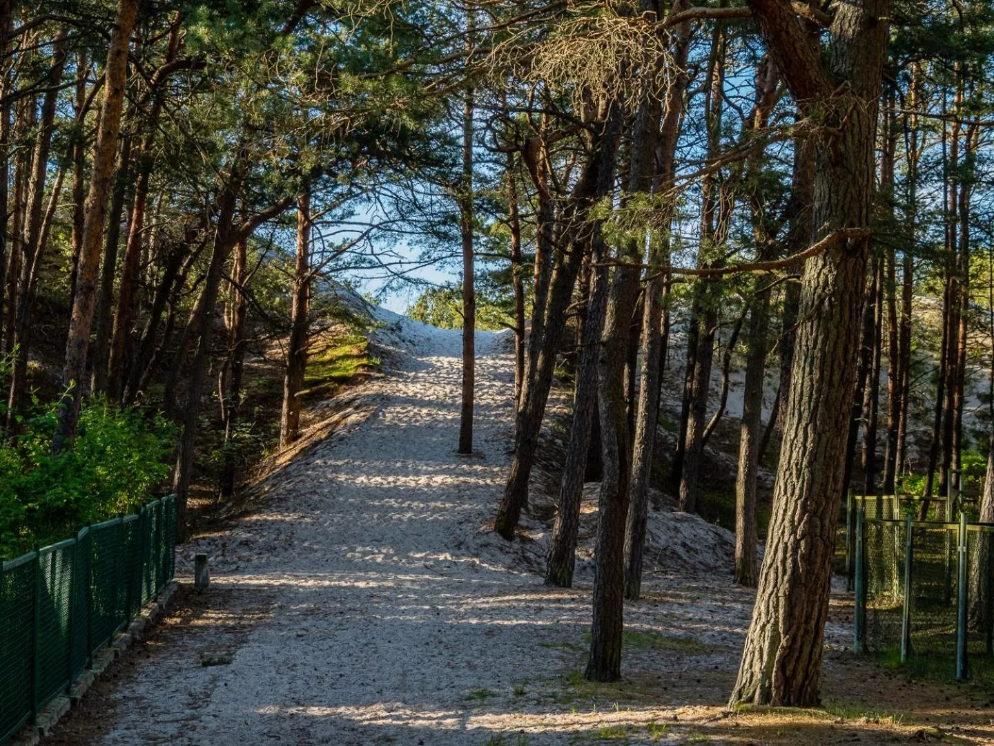Natural landscape in Nova Fala