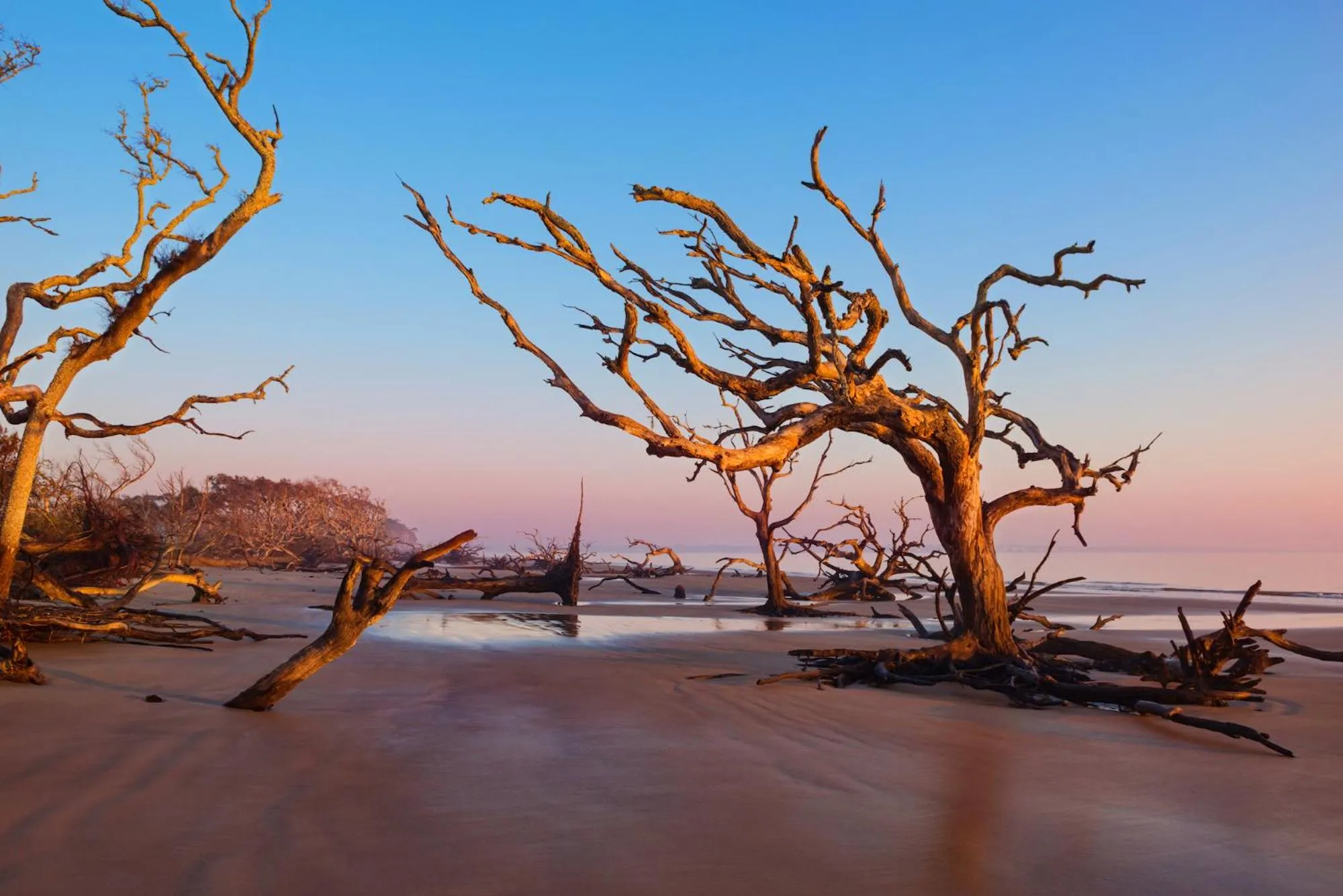 Nearby landmark in Jekyll Island Club Resort