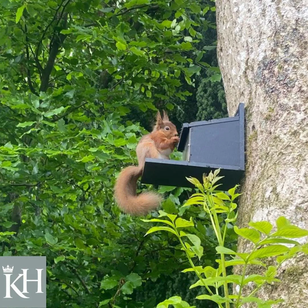 Kings Head - Riverside, Ravenstonedale