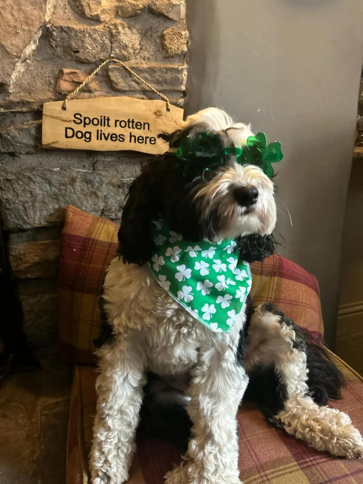 Kings Head - Riverside, Ravenstonedale