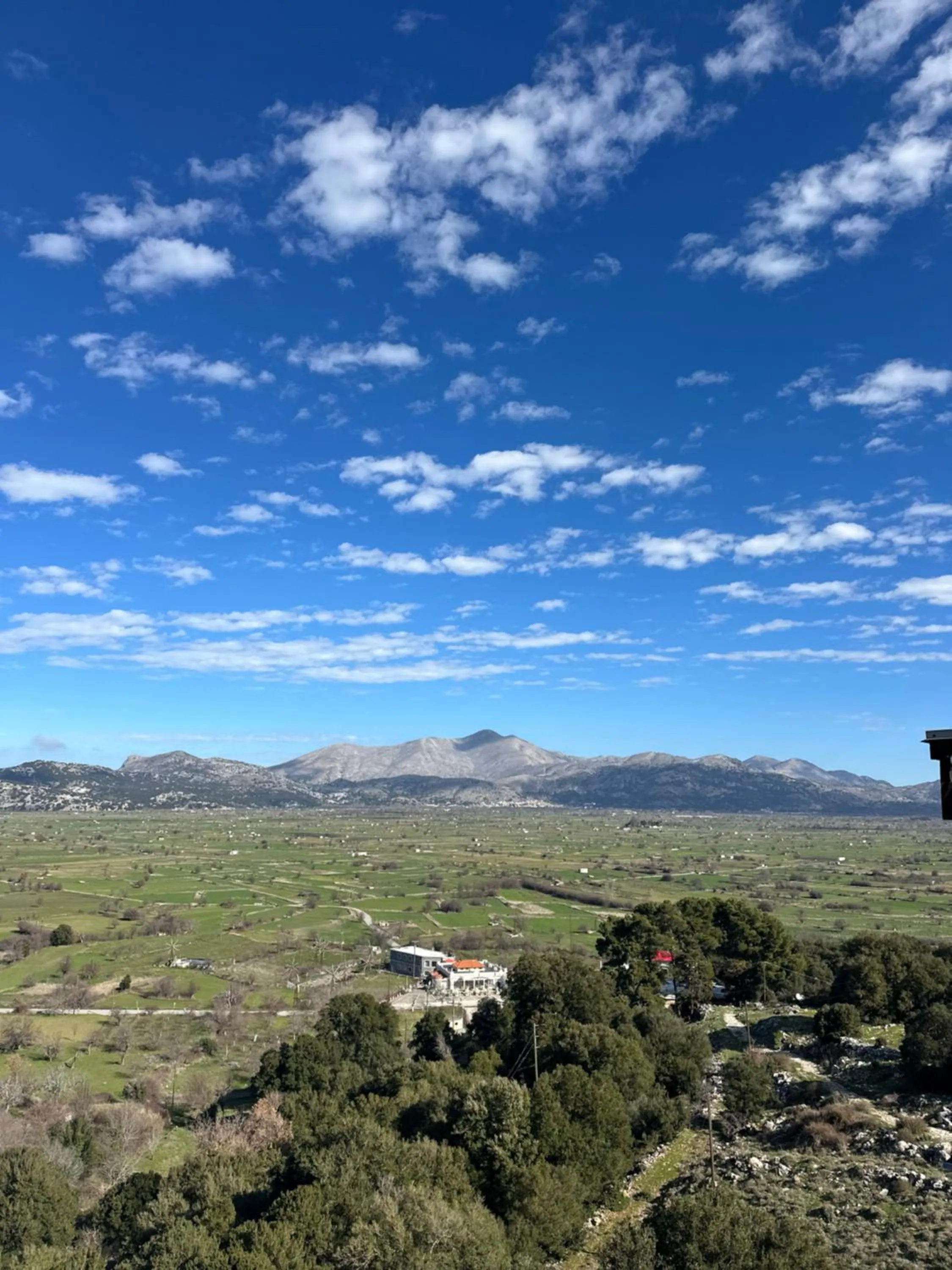 Natural landscape in Dictamus Homes