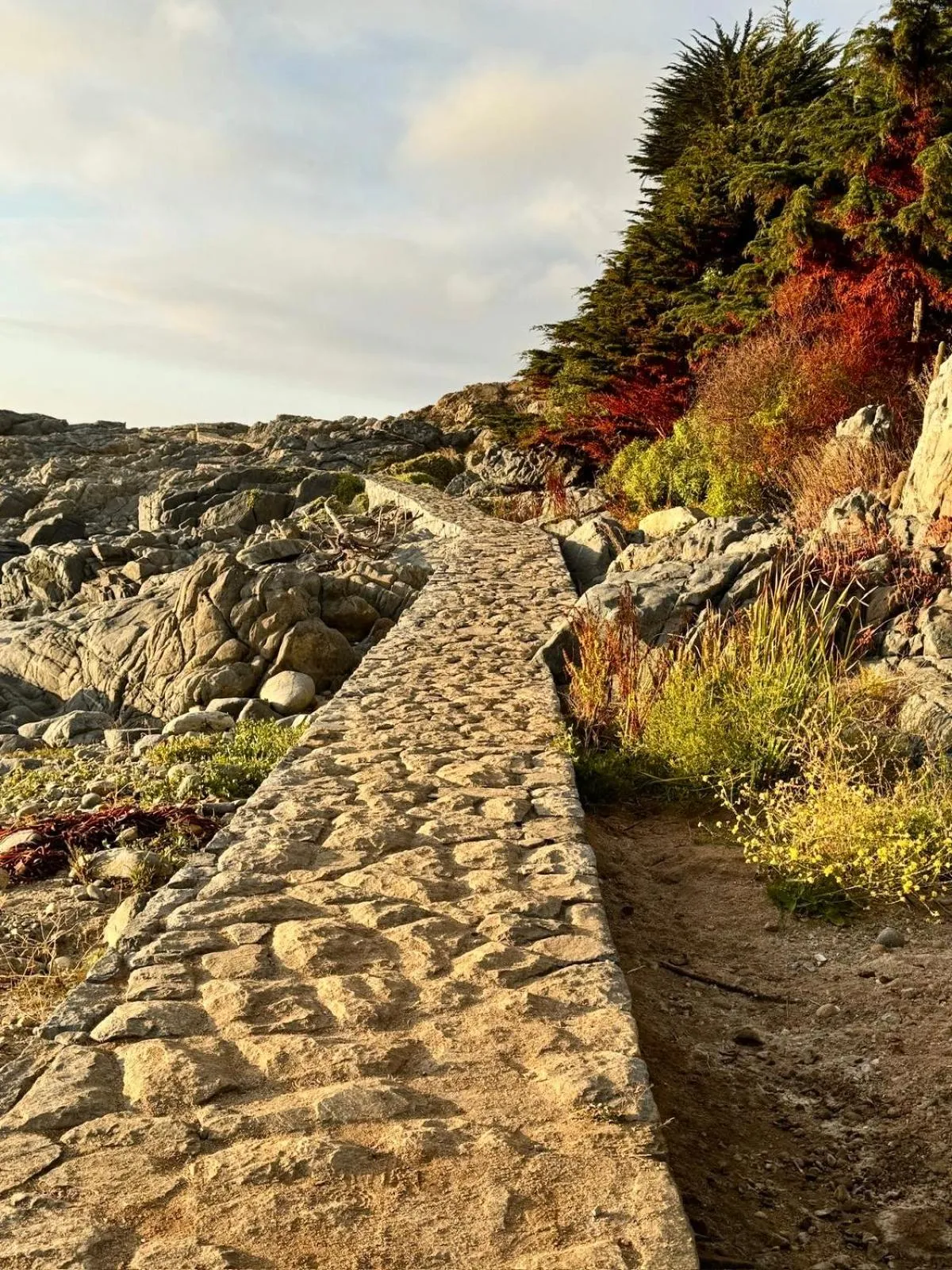Lofts - Casa El Pangue, Zapallar
