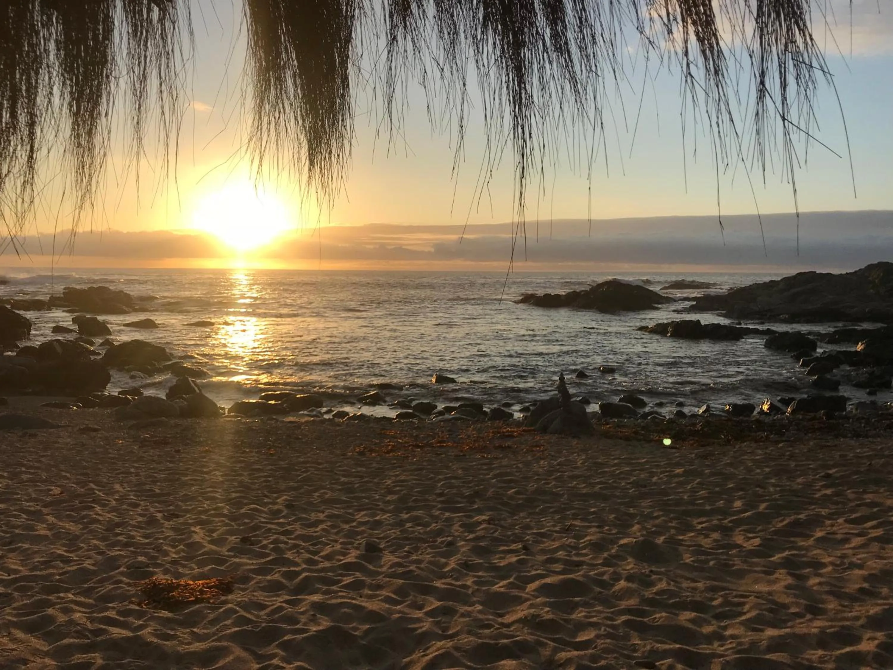 Beach in Lofts - Casa El Pangue, Zapallar