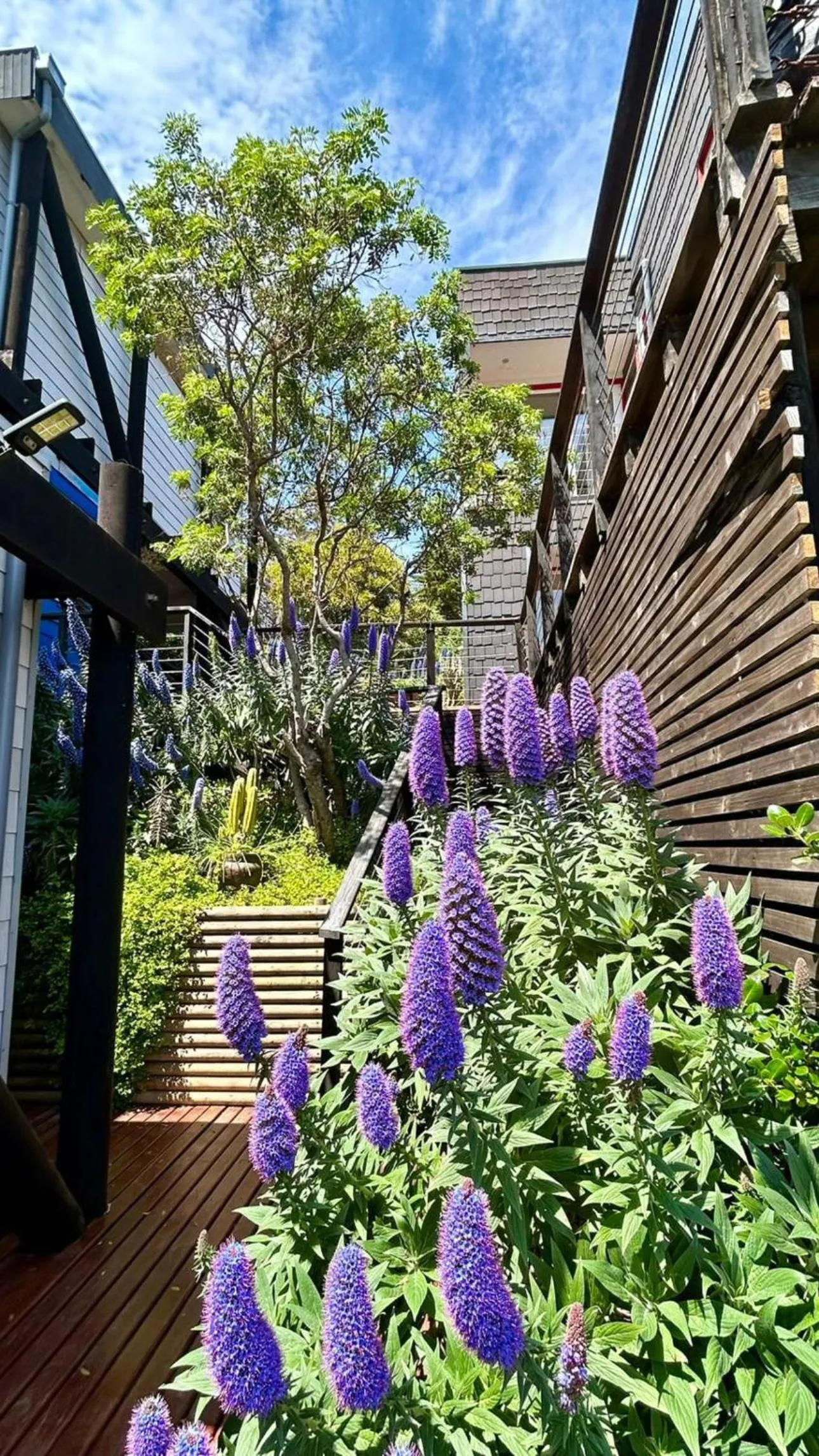 Lofts - Casa El Pangue, Zapallar