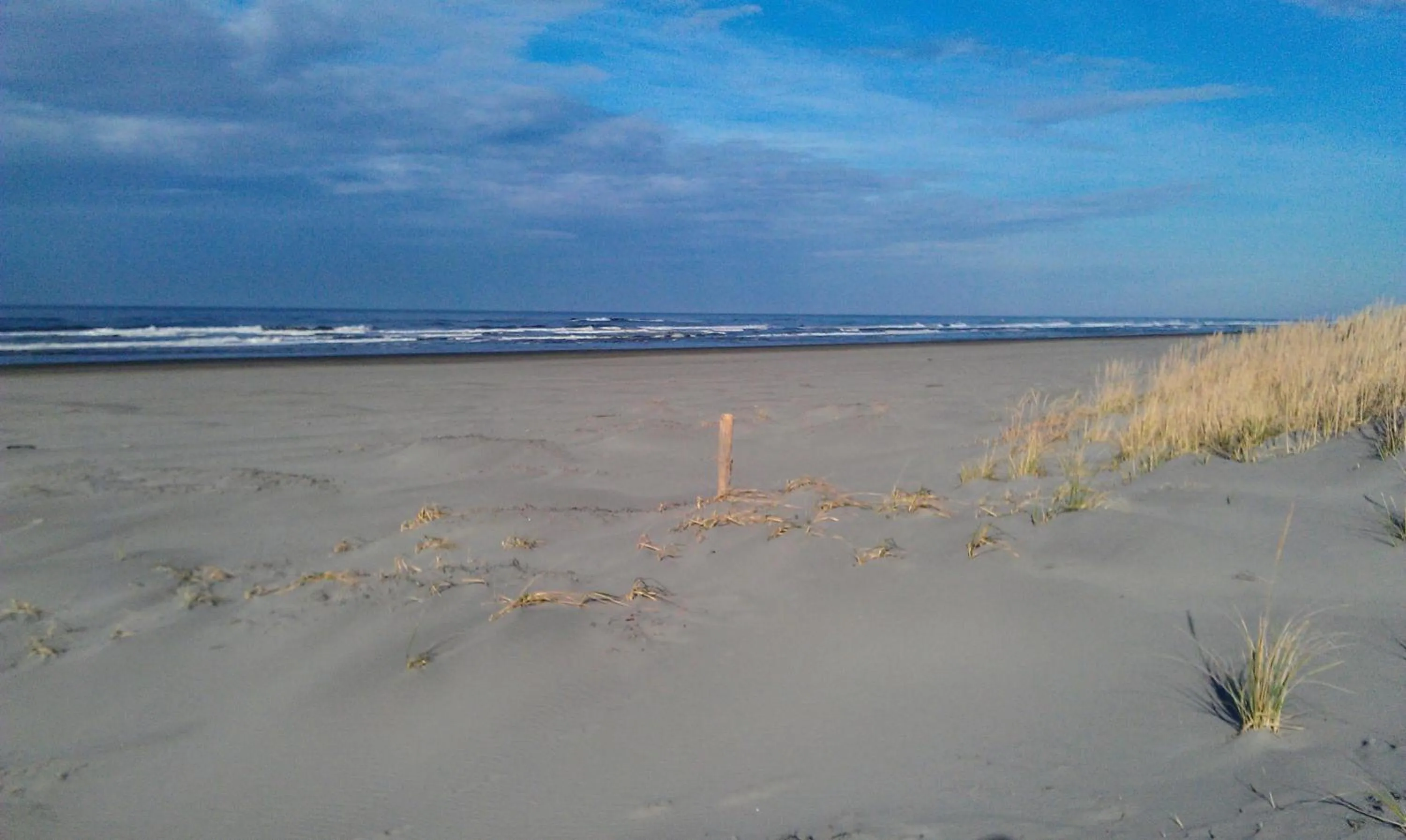 Beach in Historic 1920s Cabin
